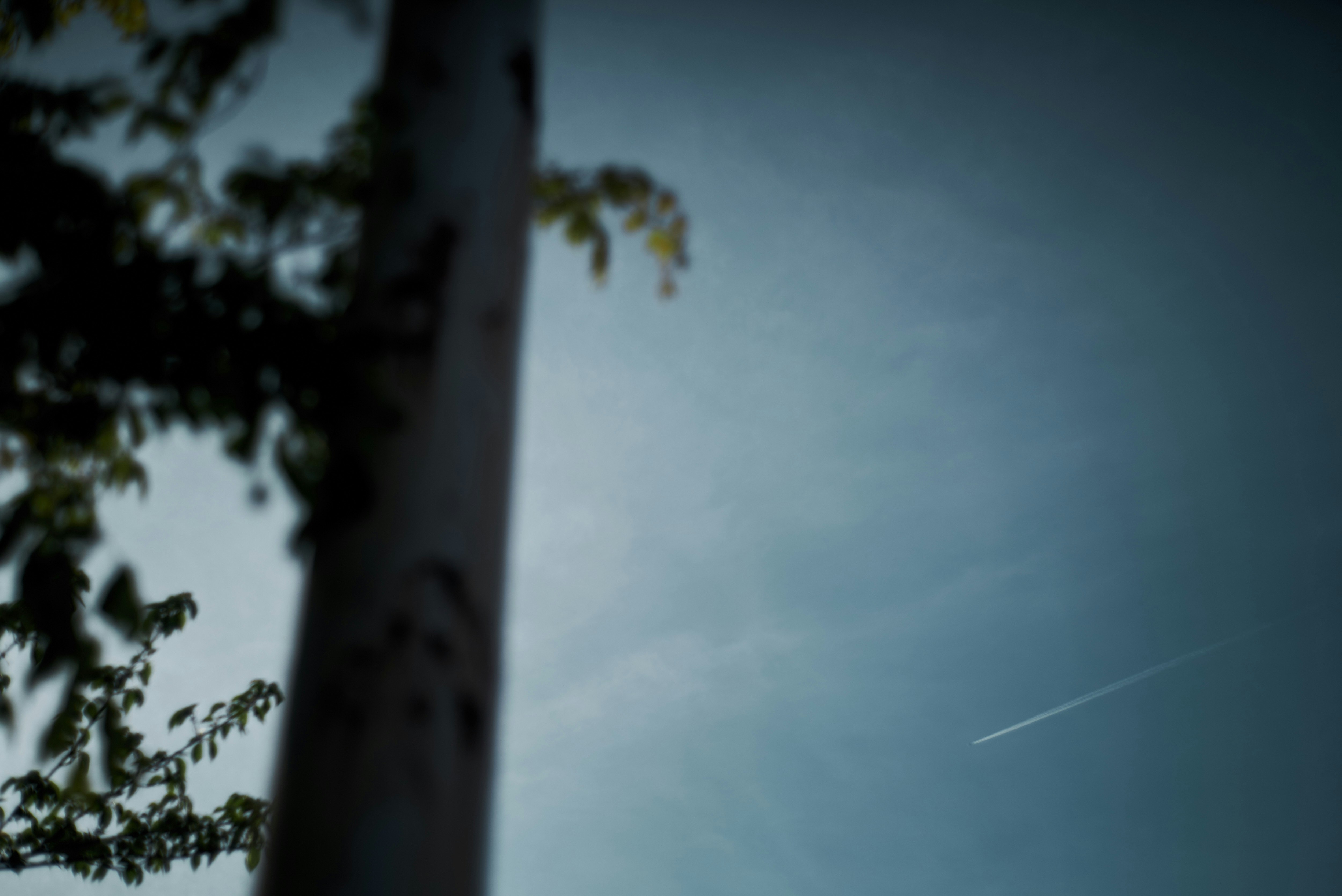 photo-7NHUsfcqccVX1gMy8dts