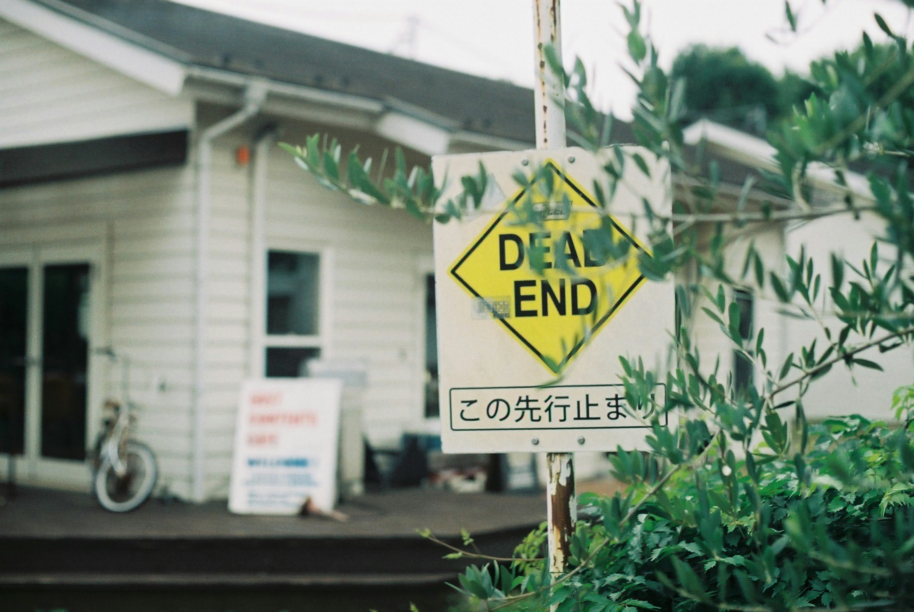 住宅街の路上に立つ「DEAD END」標識と植え込みのある風景
