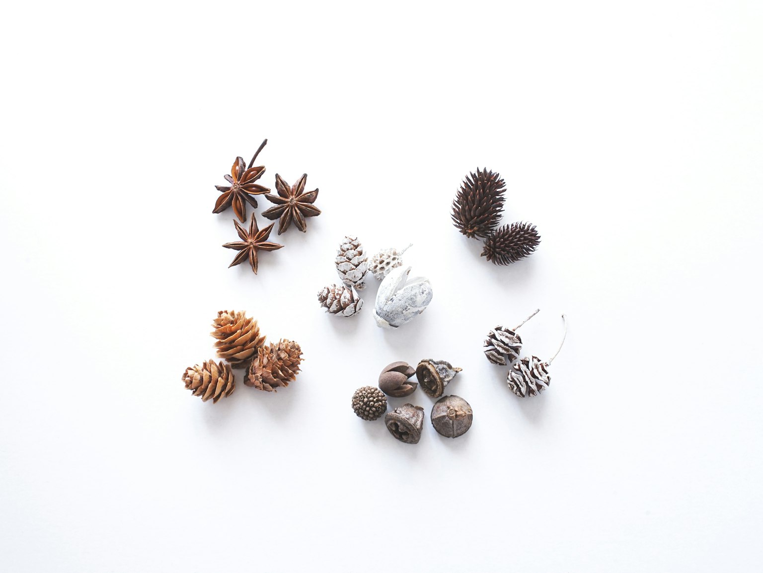 Une variété de cônes de pin et d'épices disposés sur un fond blanc
