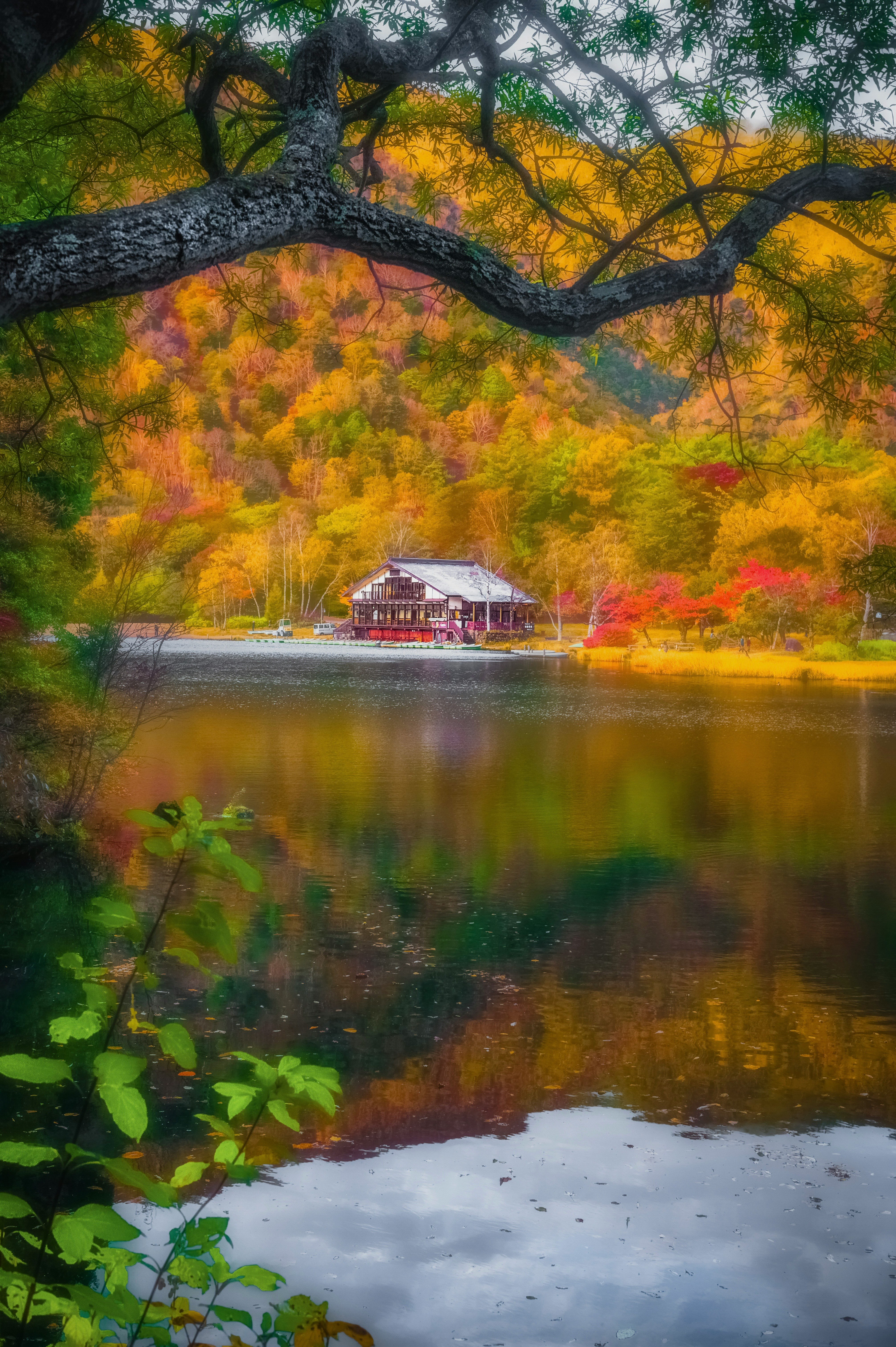 petite maison sur un lac au milieu d’une forêt d’automne