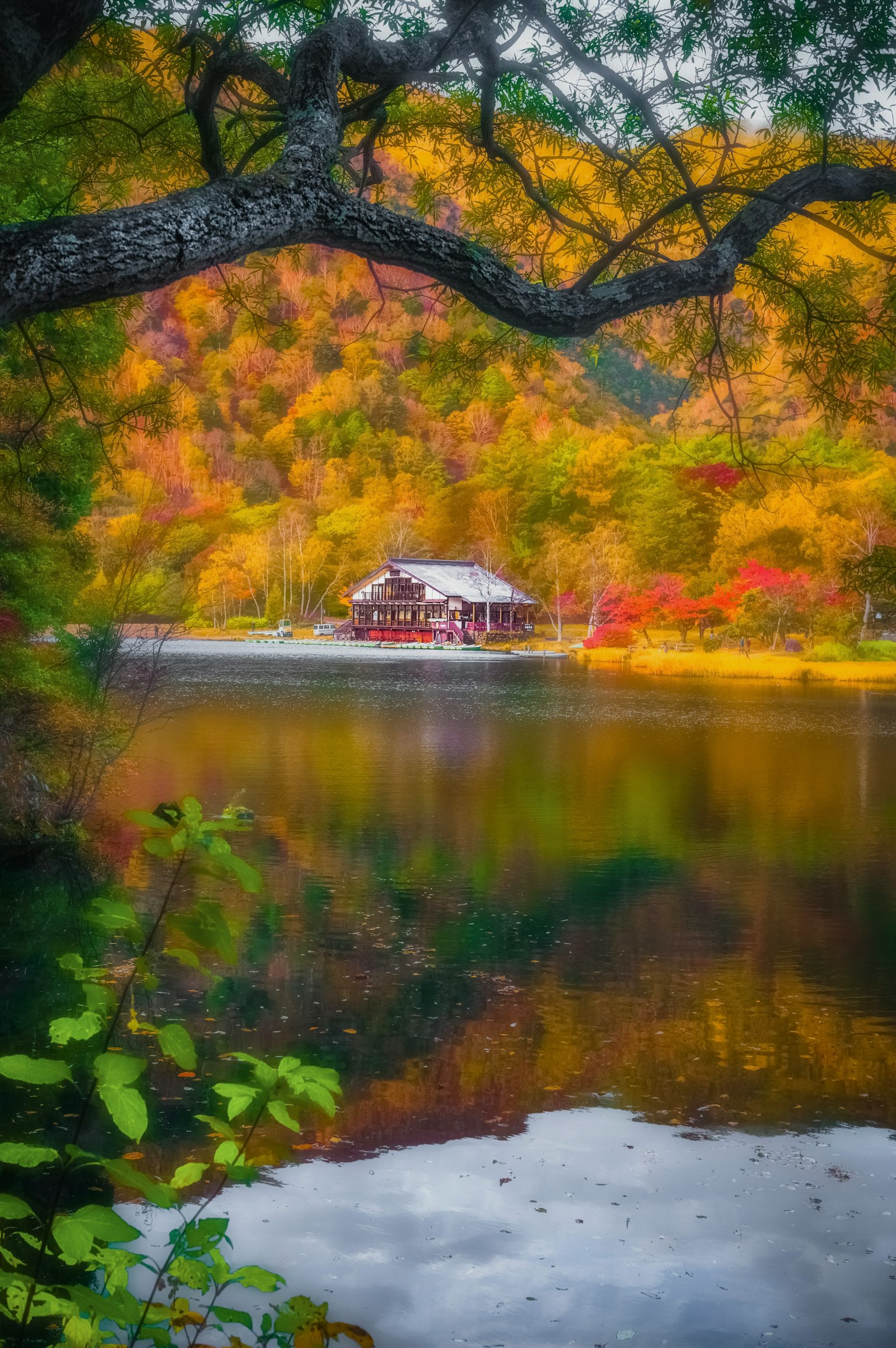 美しい秋の風景に囲まれた湖のほとりの小屋