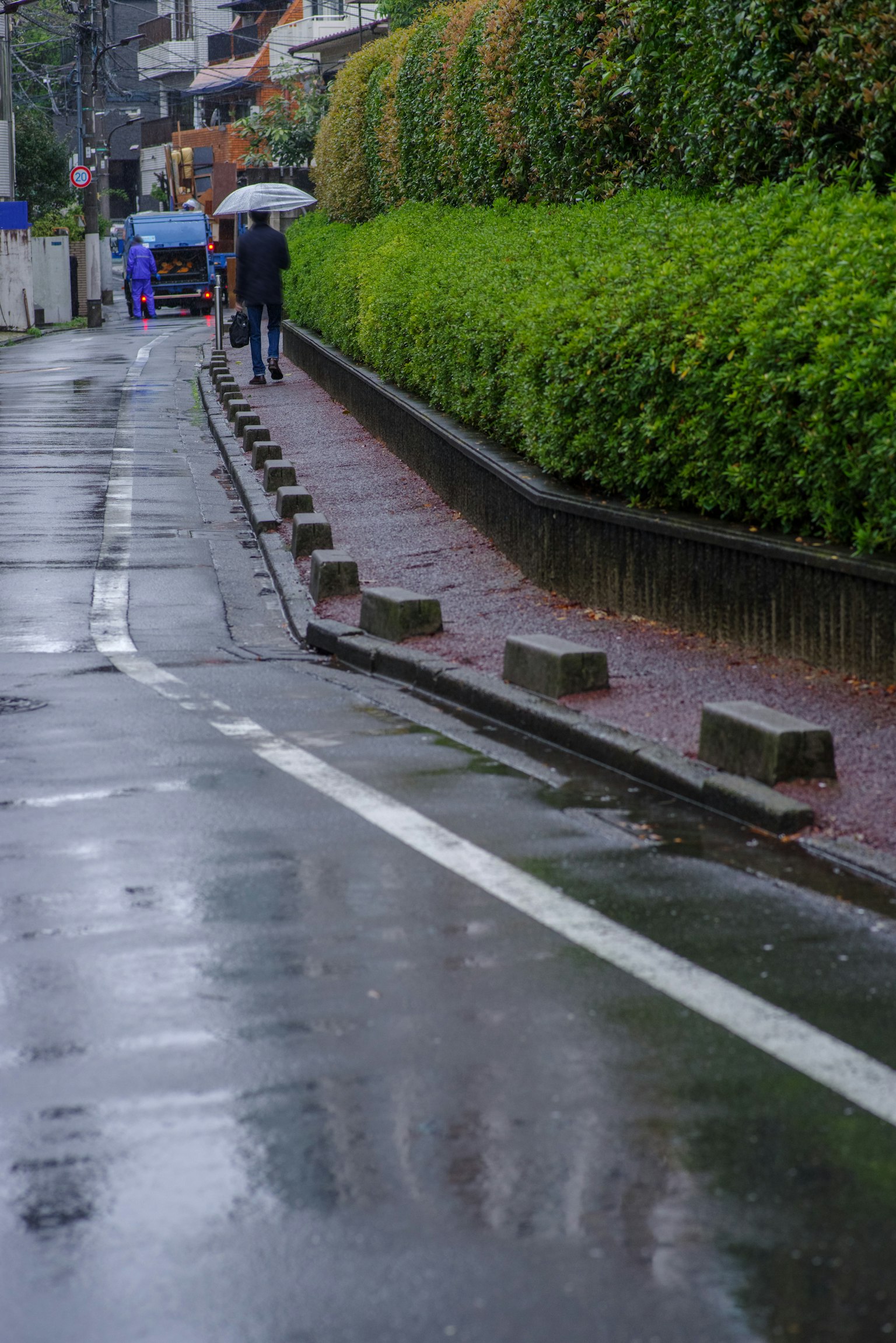 Rue tranquille sous la pluie avec des haies vertes