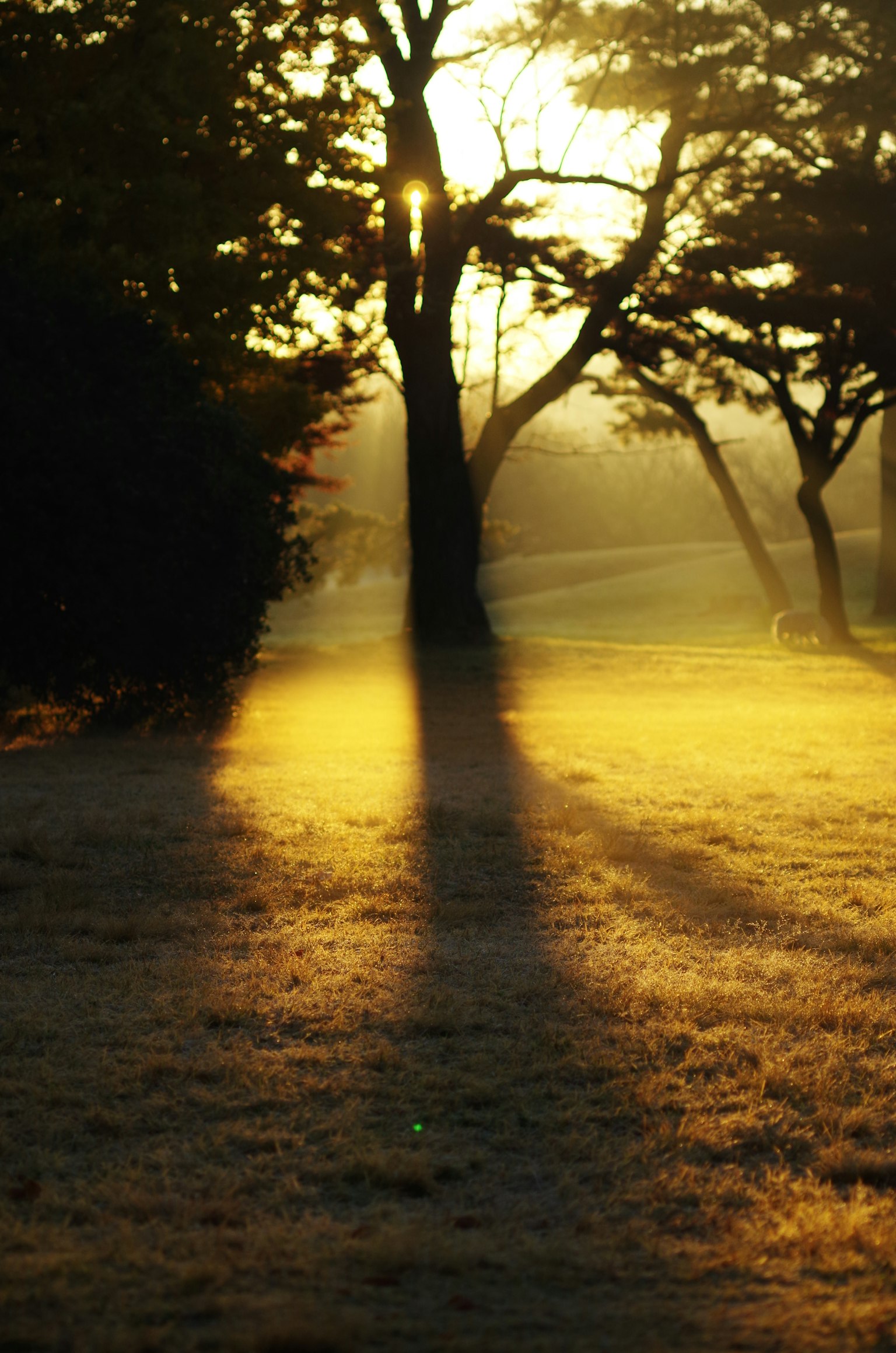 ダークグレーの背景にシンプルなデザイン
