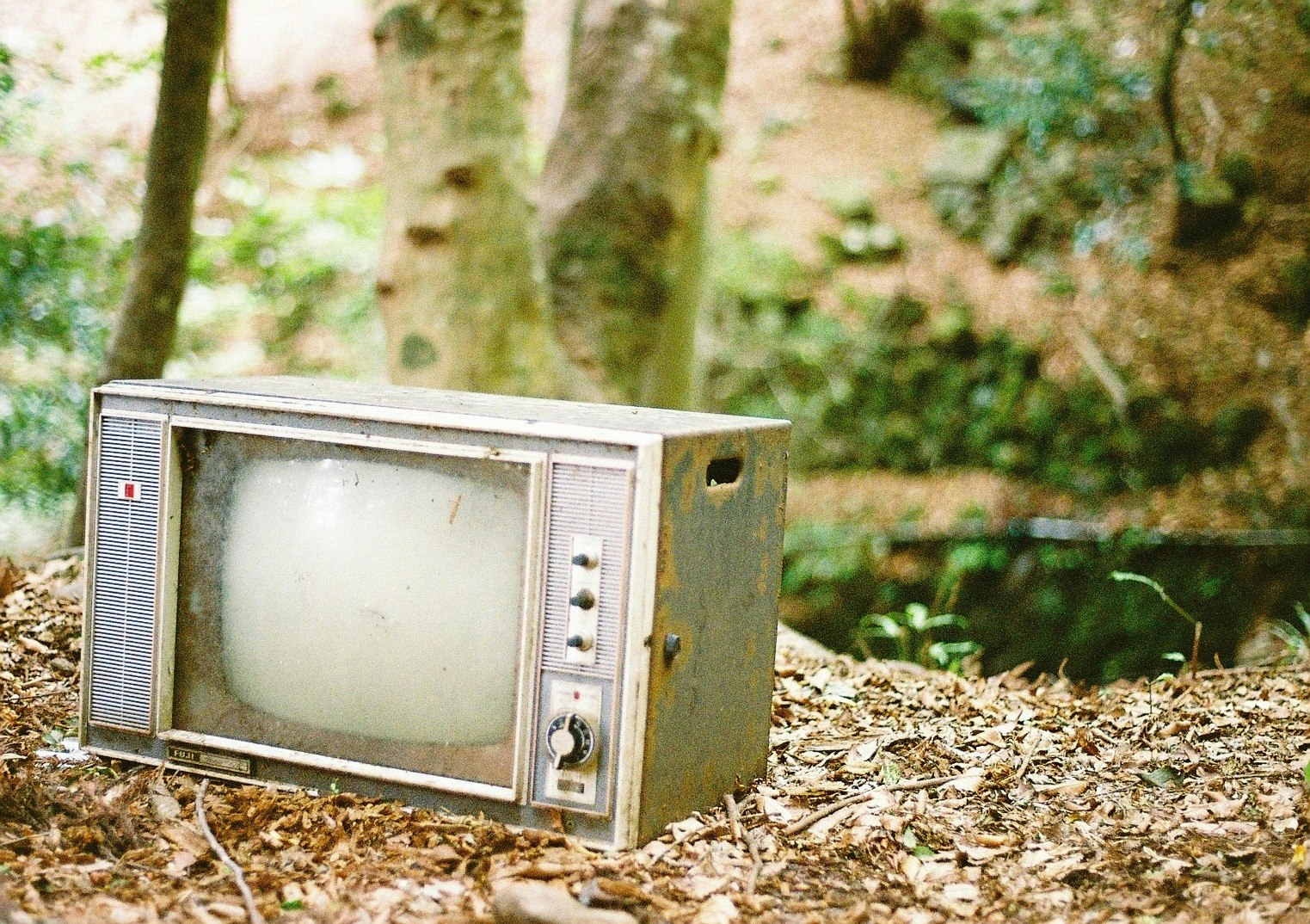 森の小道の落ち葉の上に置かれた古いブラウン管テレビ