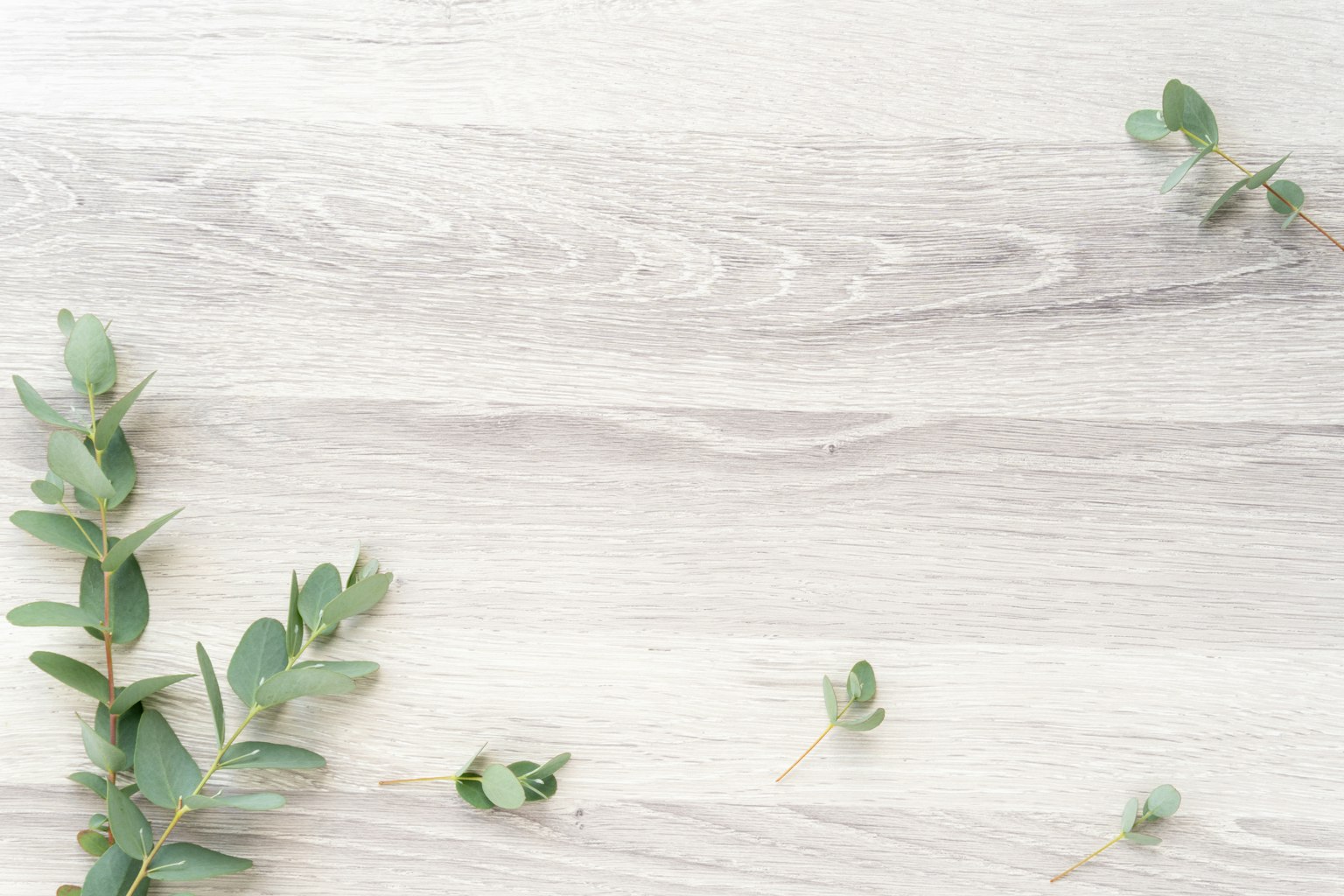 Conception simple avec des feuilles vertes éparpillées sur un fond en bois blanc