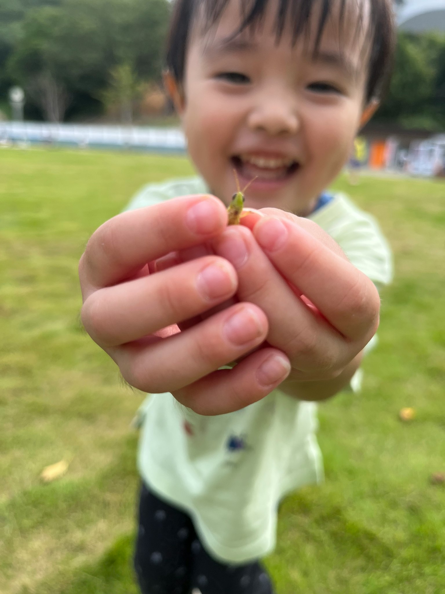 Un niño sonriendo mientras sostiene una pequeña planta en sus manos