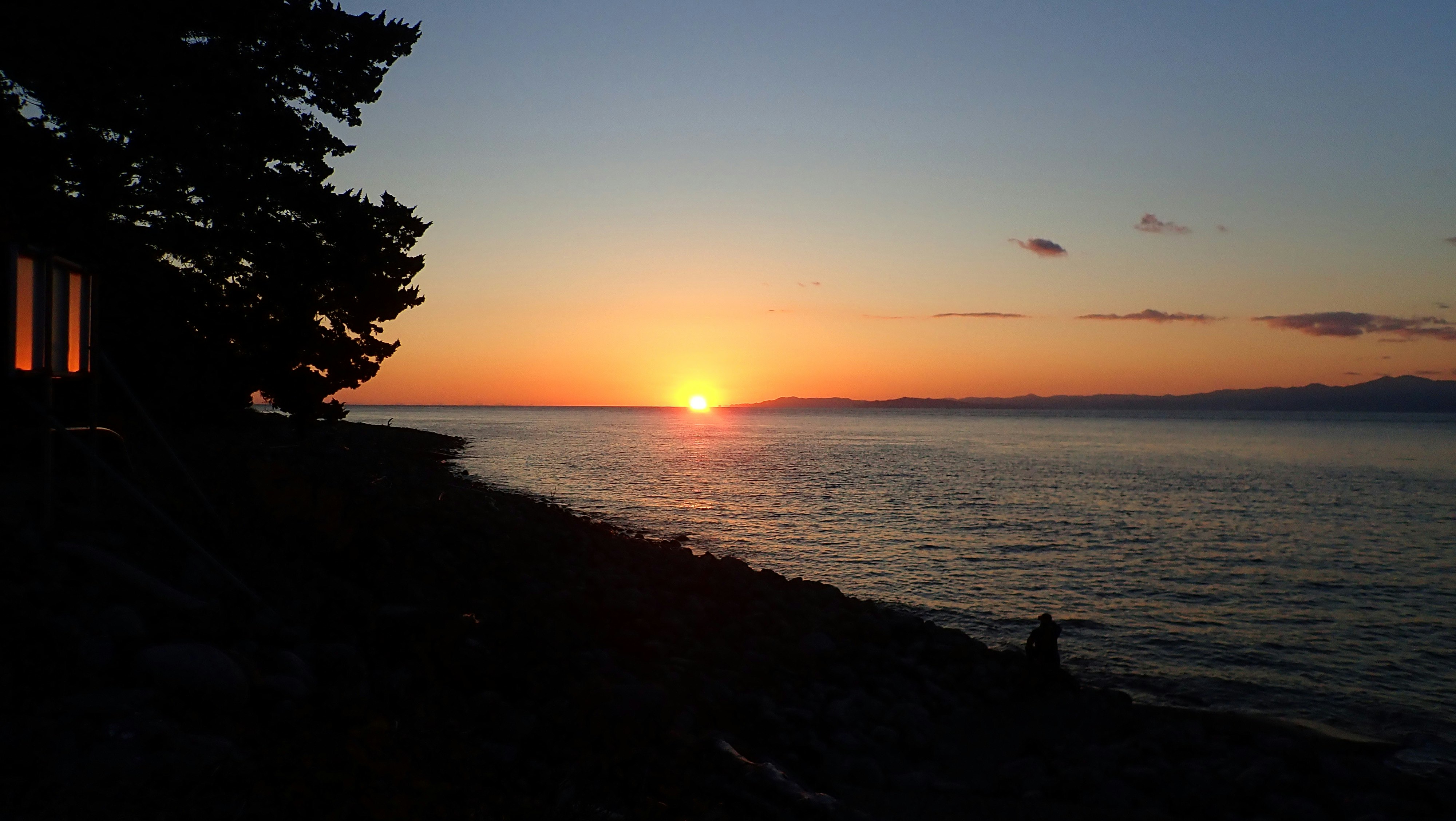 夕日に照らされる海岸のシルエットと木々