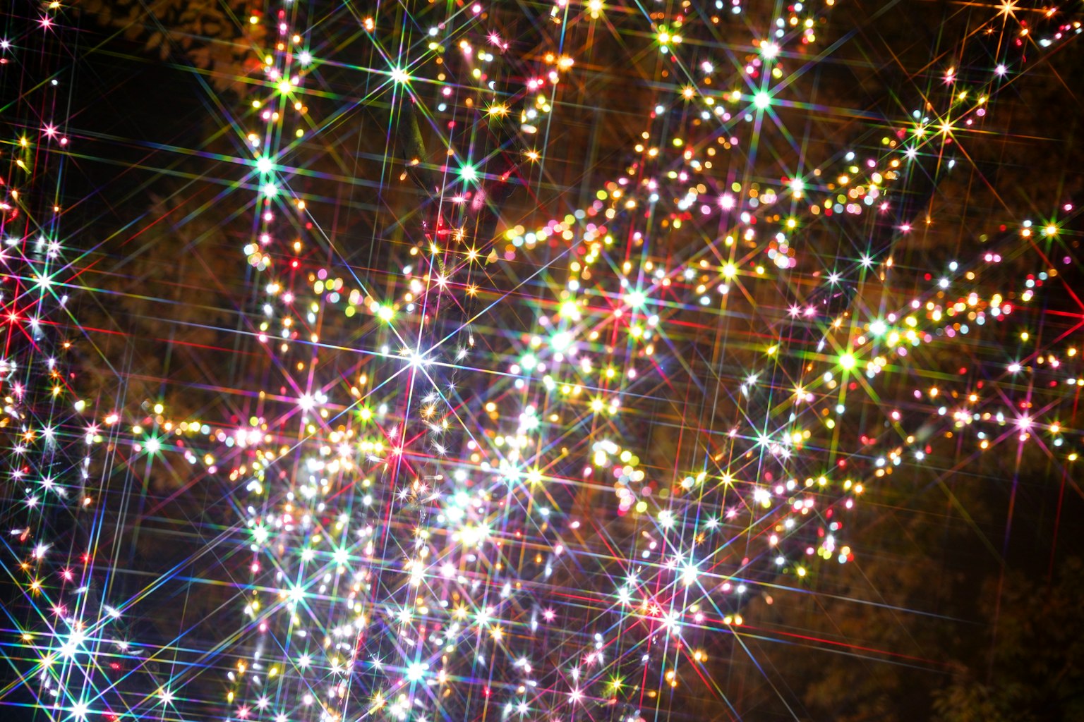 Close-up lampu berwarna-warni berkilau di dahan pohon