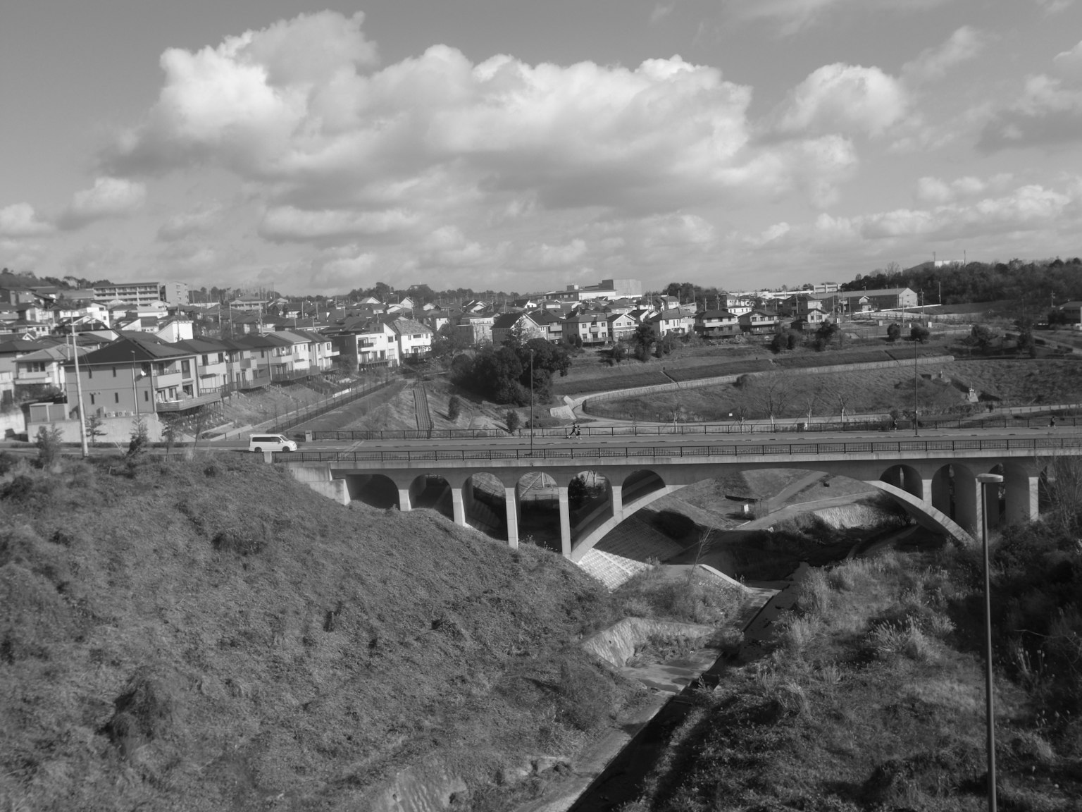 Black and white landscape photo featuring a bridge and surrounding village houses
