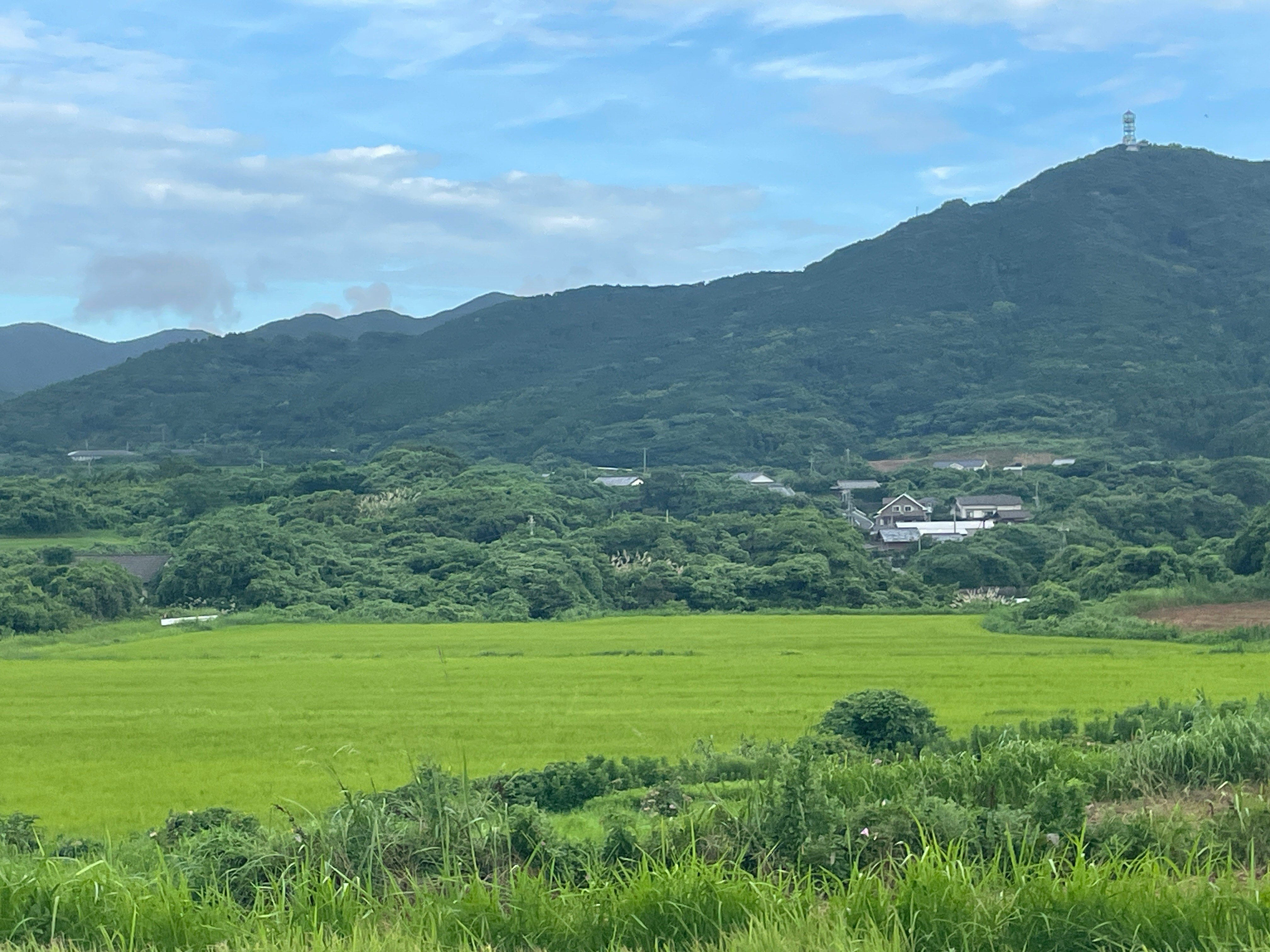 绿色草地与群山的自然风景