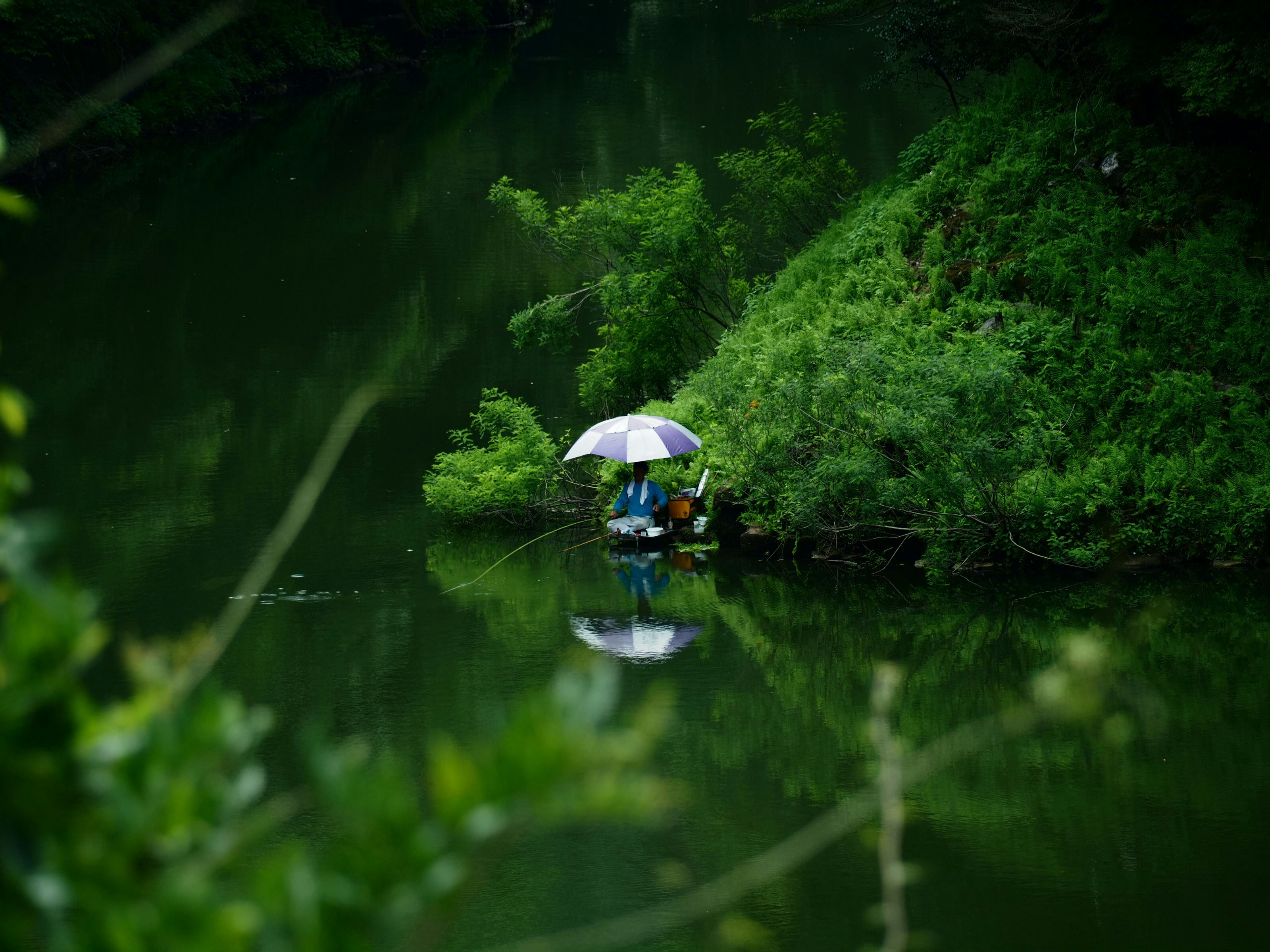 pescatore con ombrello lungo la riva di un fiume verde