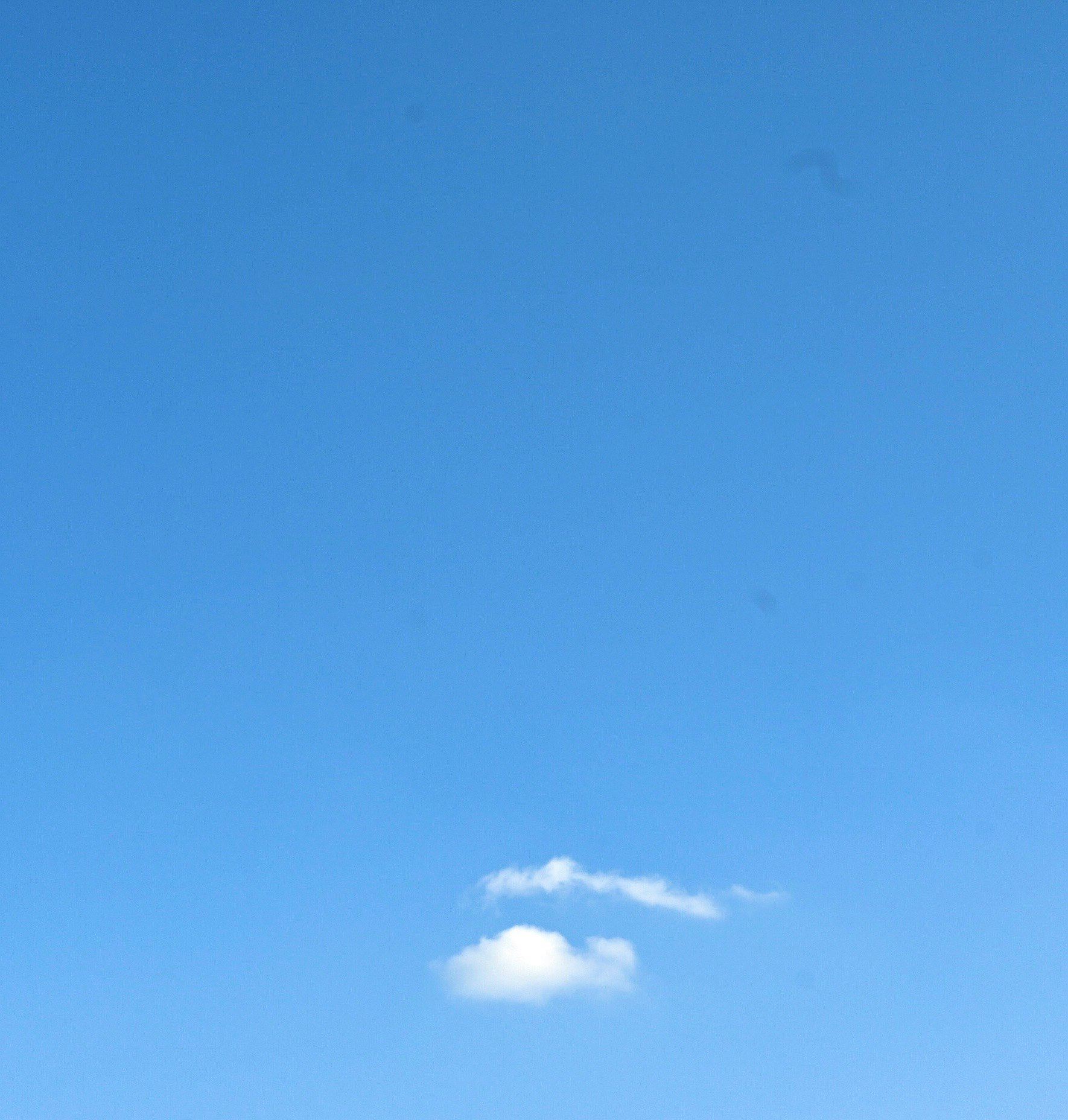 澄んだ青空に浮かぶふわふわのかわいい雲