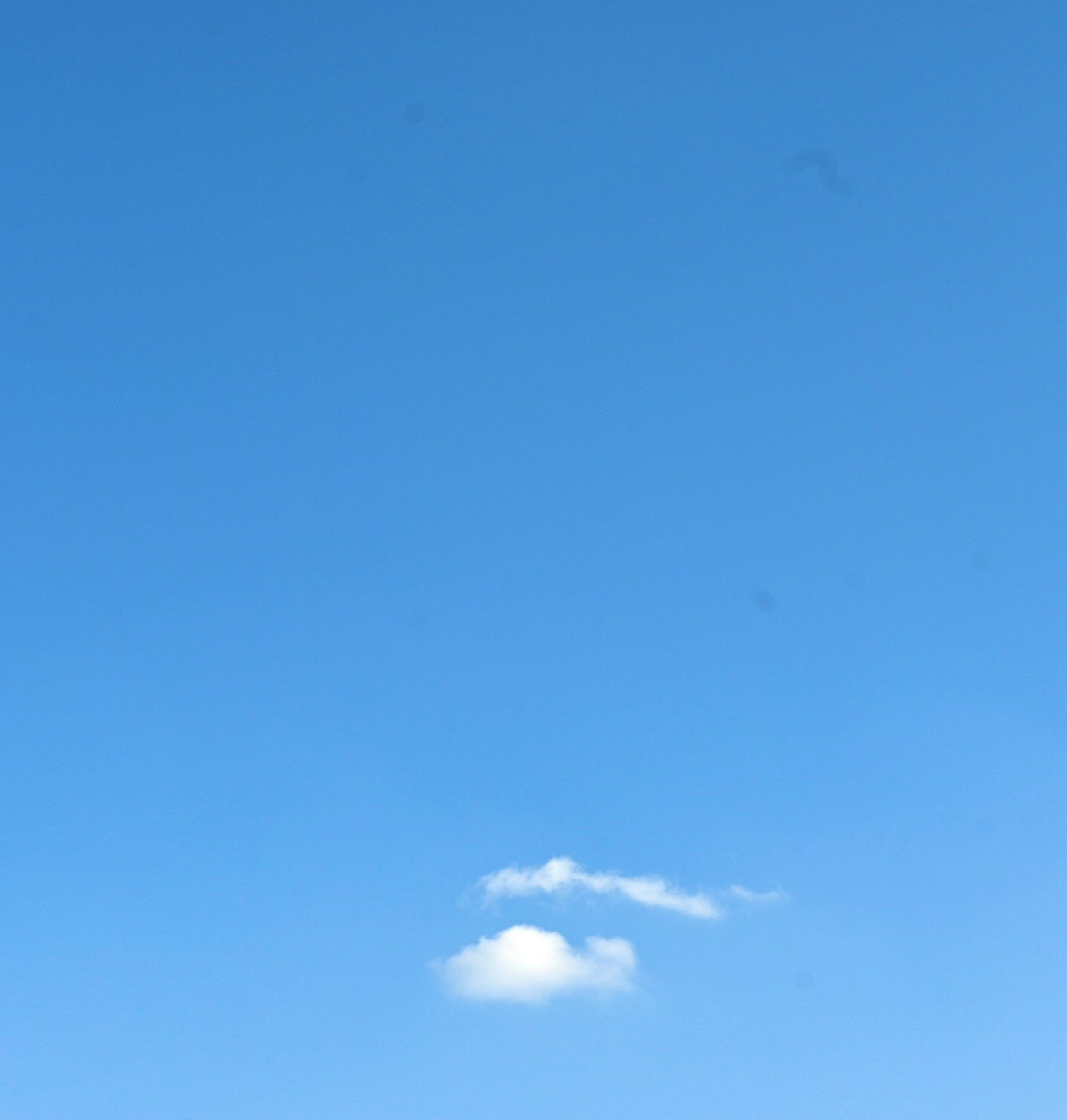 A white cloud floating in a clear blue sky