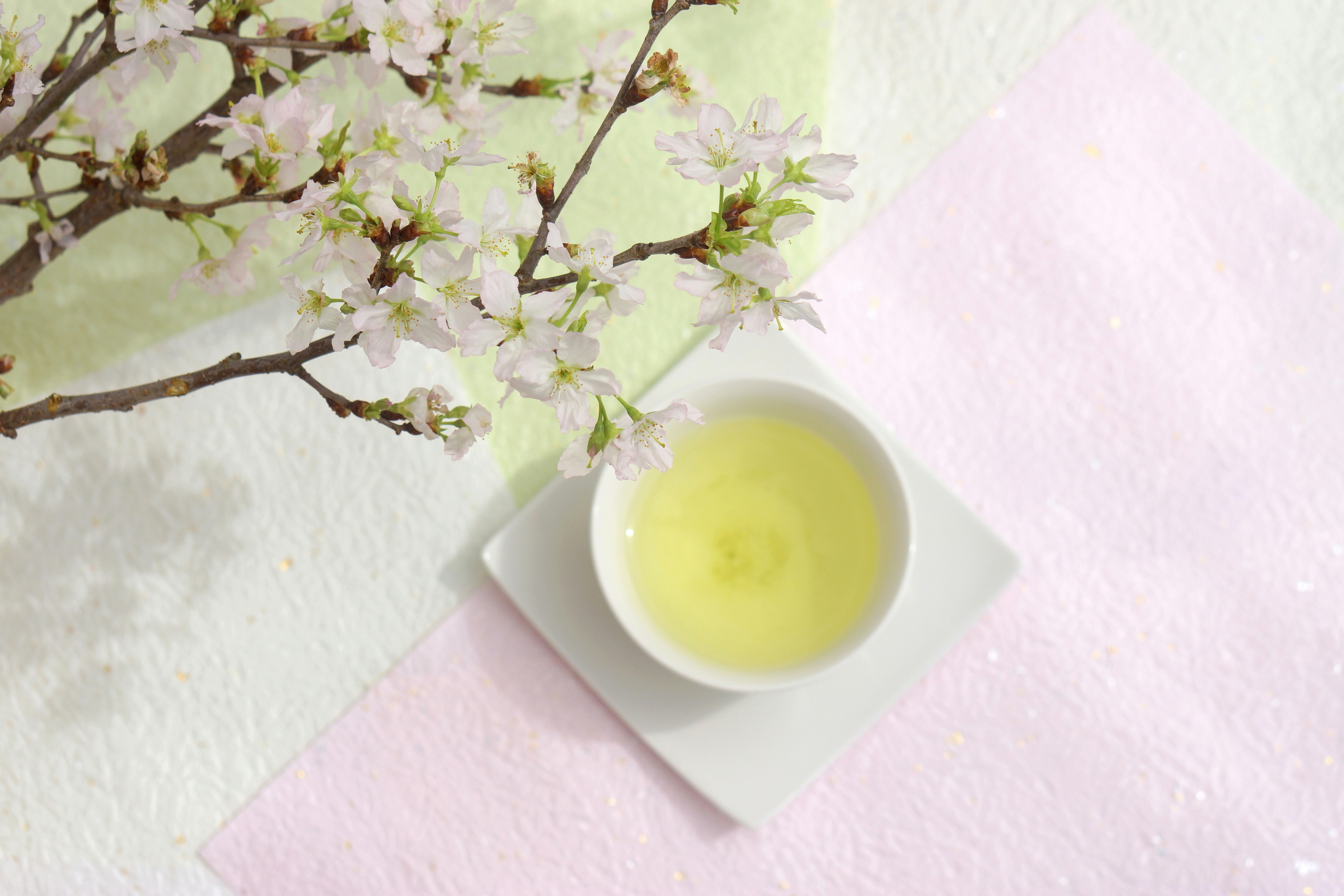 樱花与装有花草茶的白色茶杯的宁静桌面