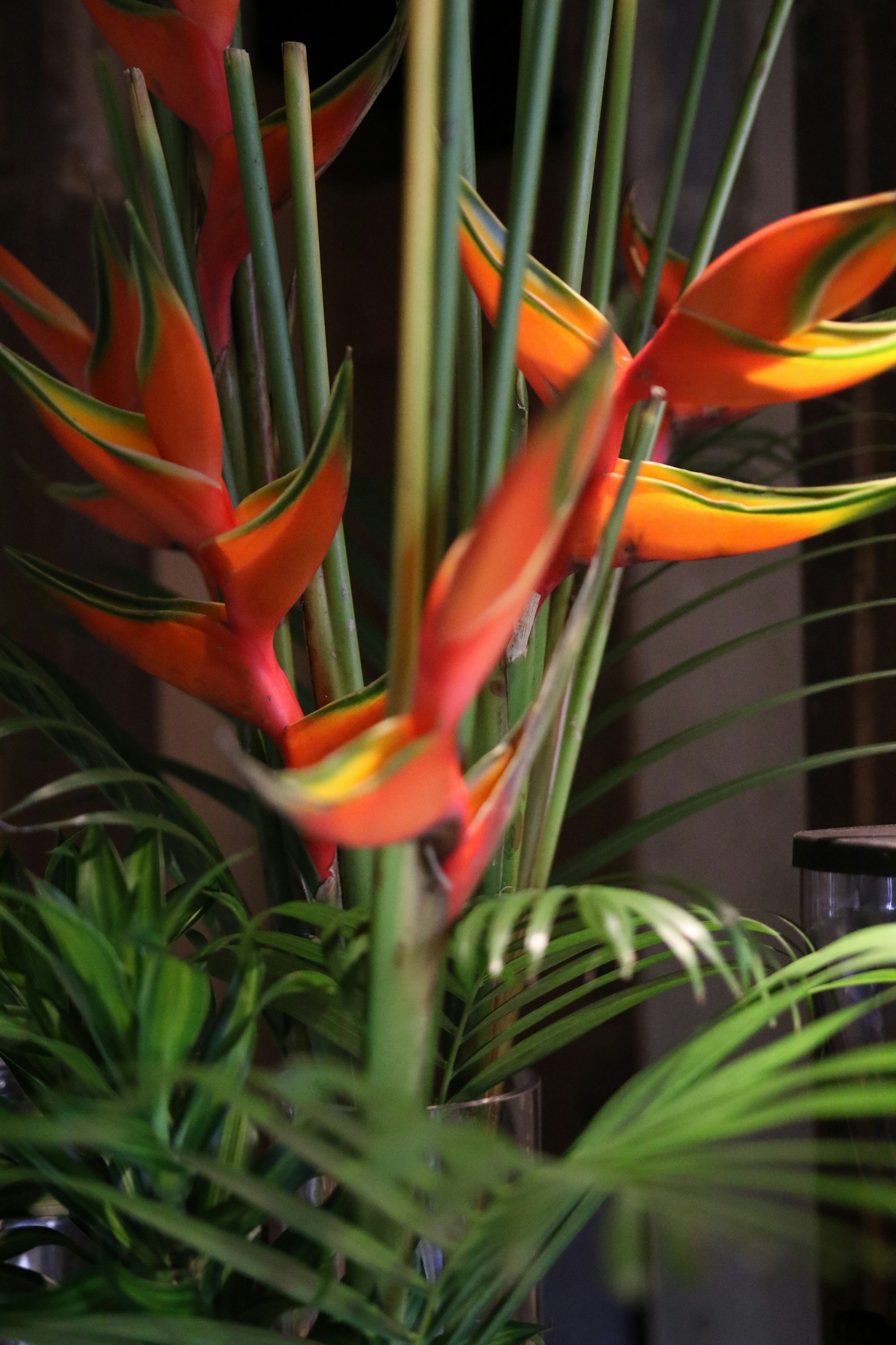 Composizione floreale tropicale vivace in arancione e verde con eliconie