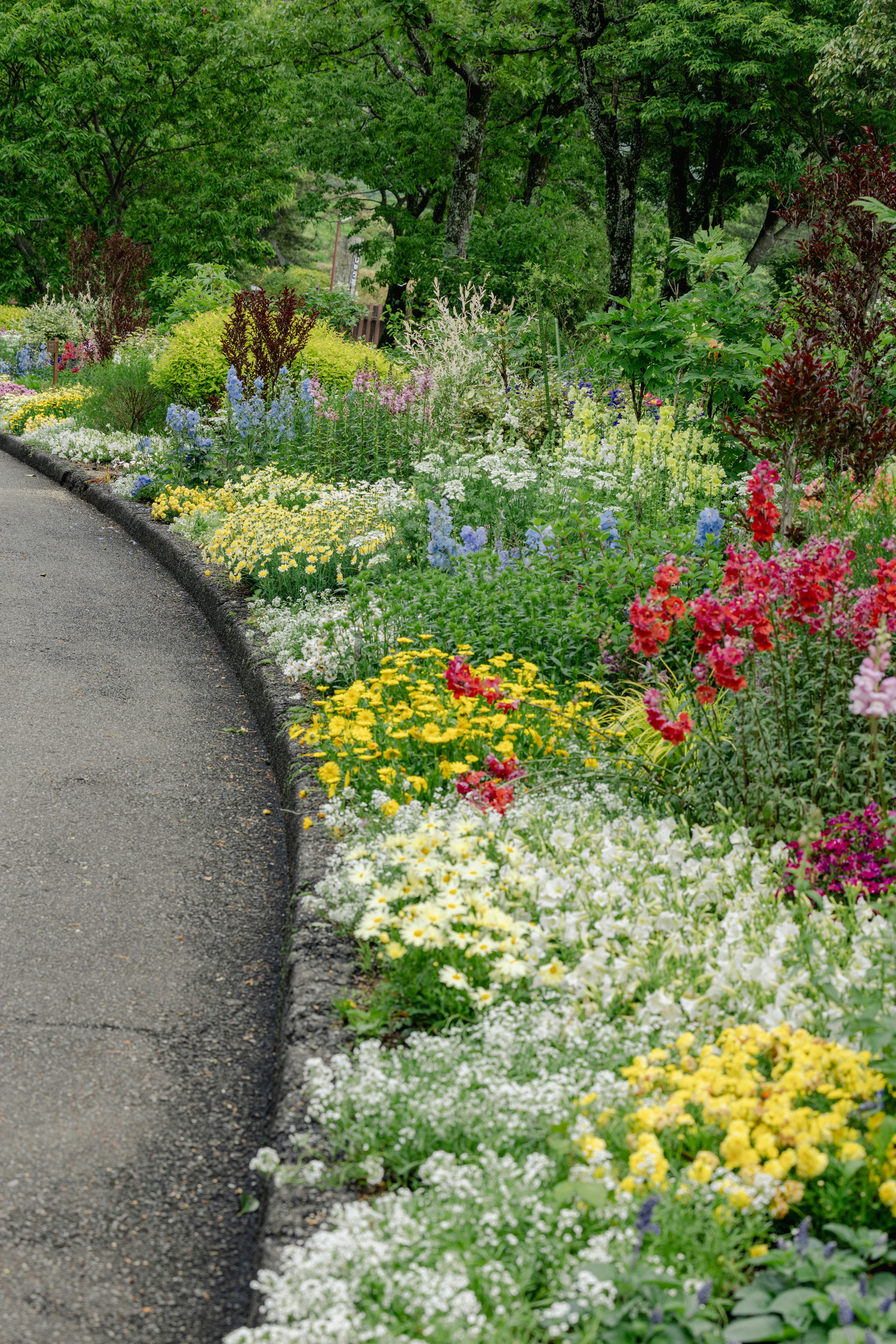 くじゅう花公園の花壇と小道のある庭園