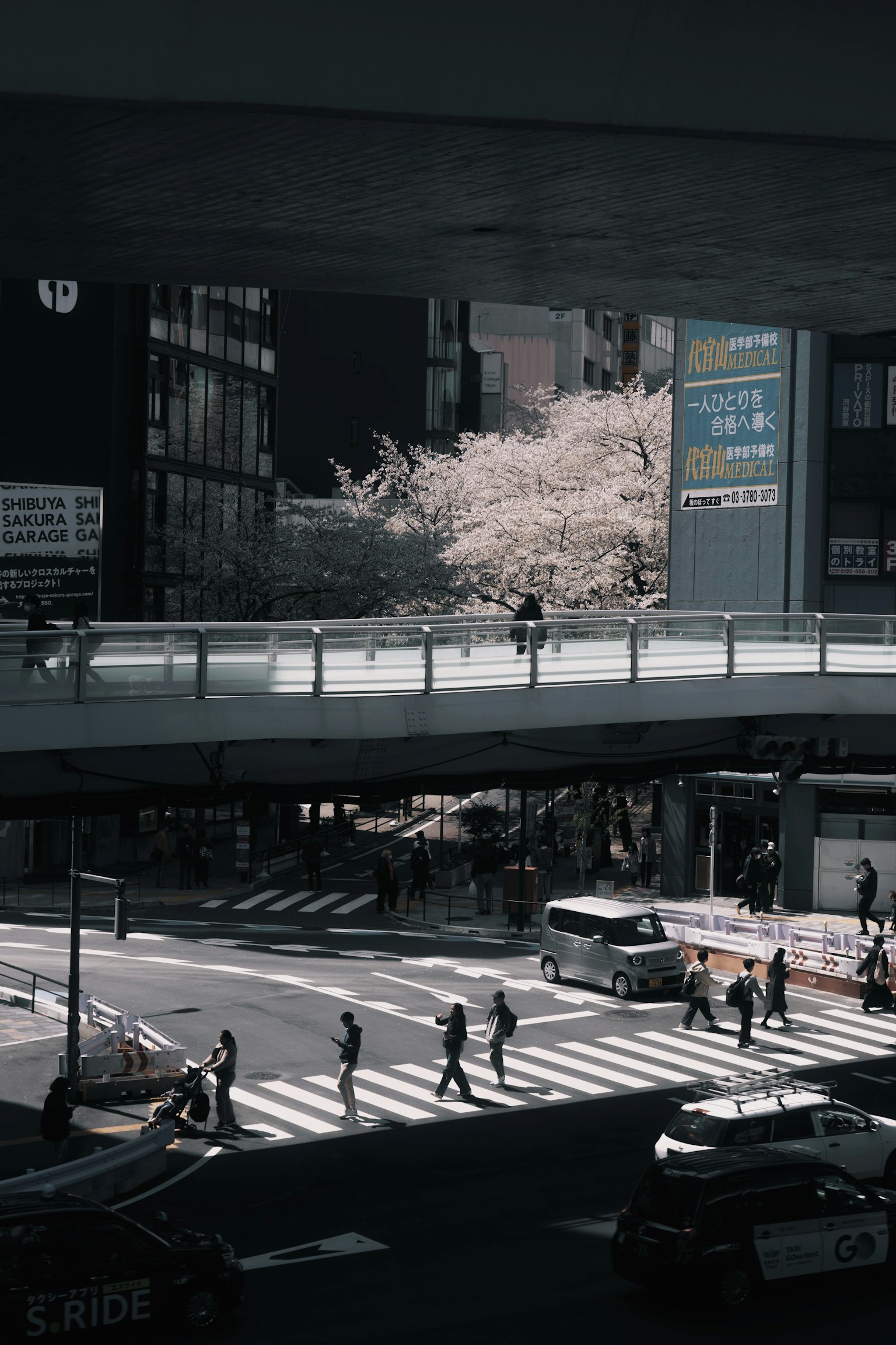 photo-7SJa2EVrJX7kNxYyeCwm-image