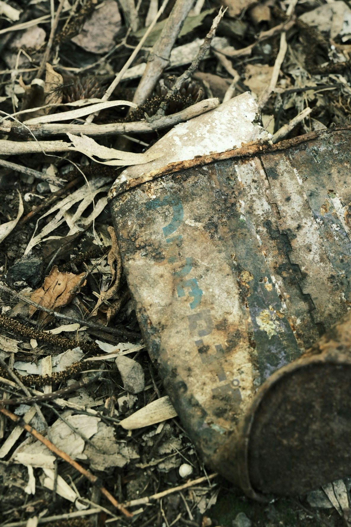 tekstur batu dan tanah setengah tertutup rumput