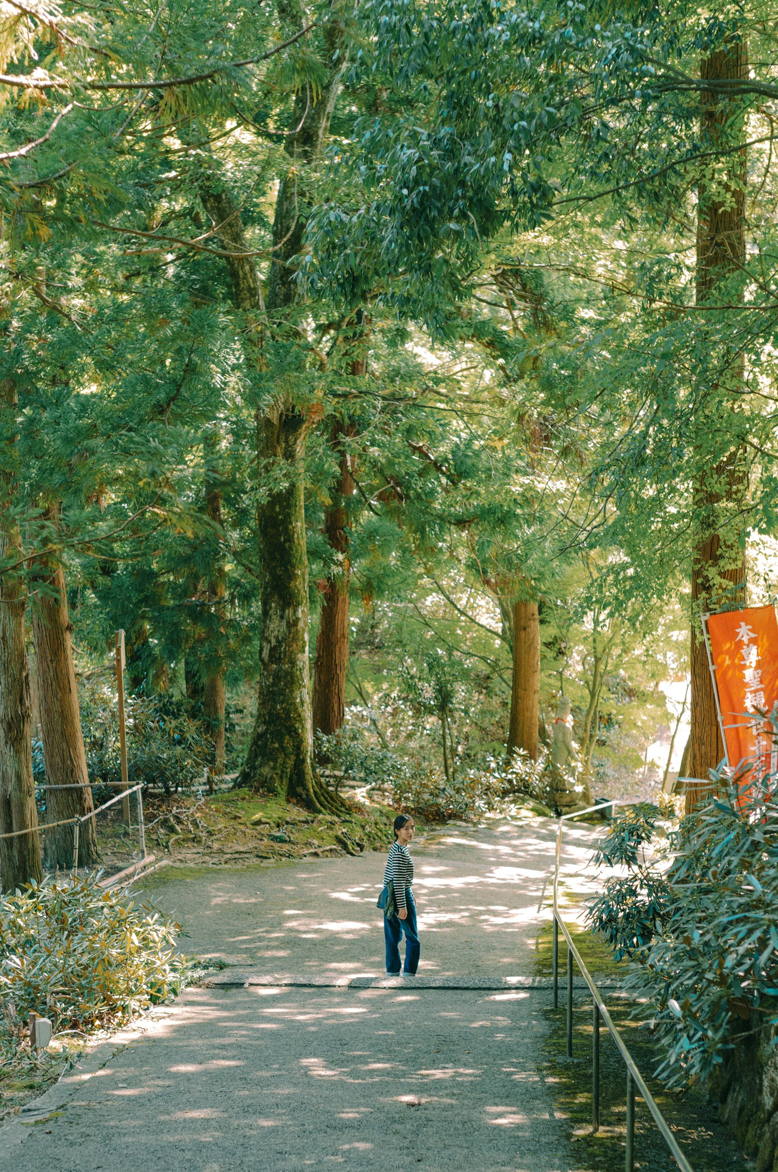 Una persona caminando por un sendero forestal exuberante