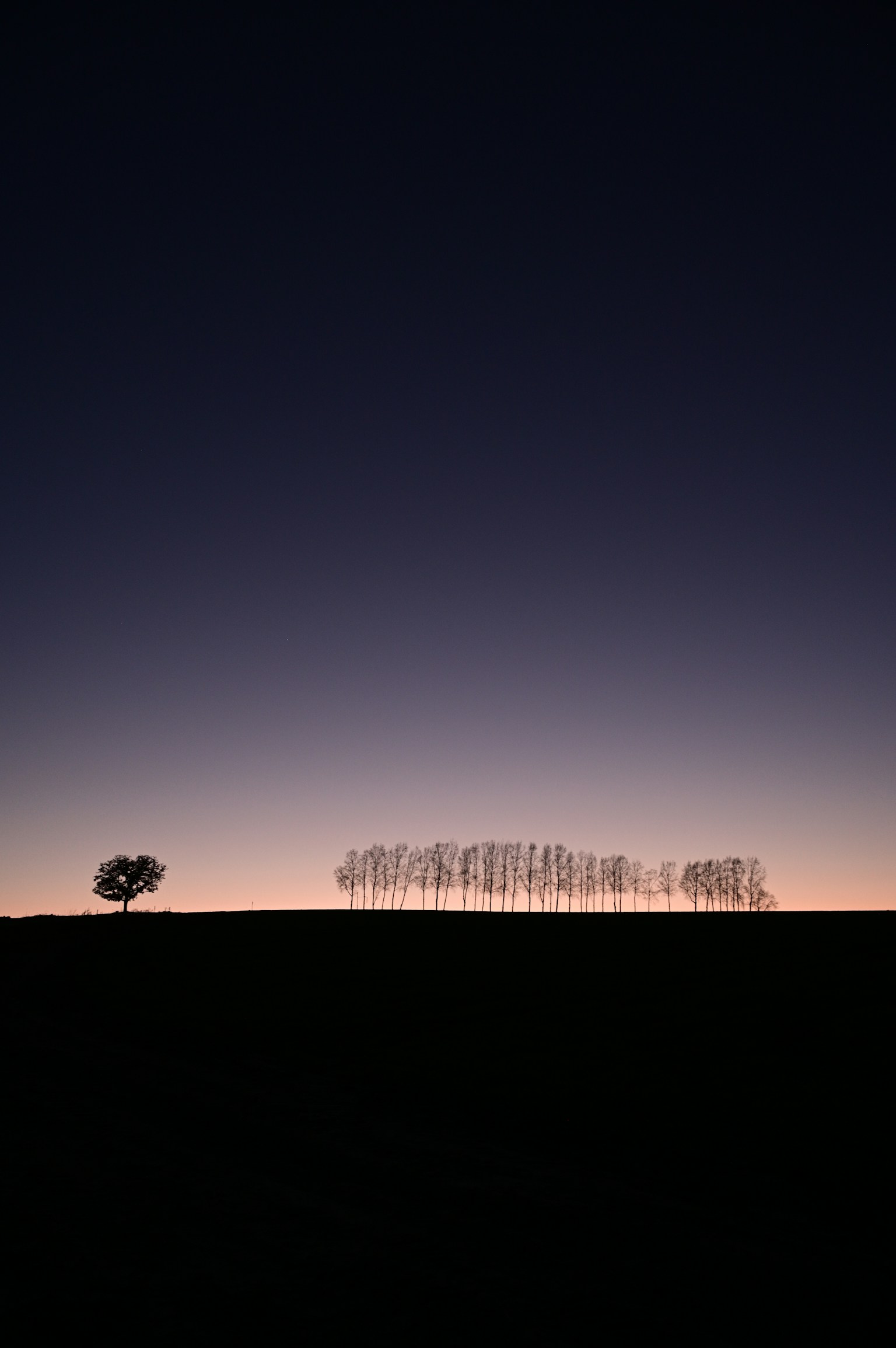 photo-7TBG8HxmU488WYggGU6i-image