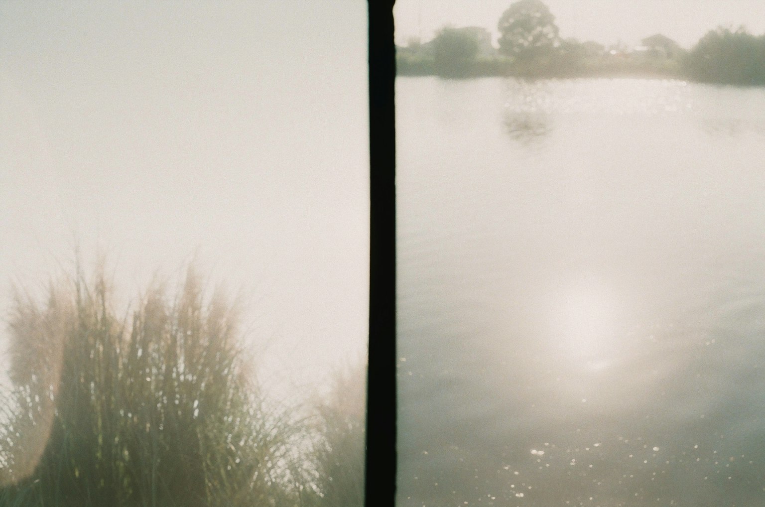 Paysage brumeux avec un lac et silhouette d'herbe