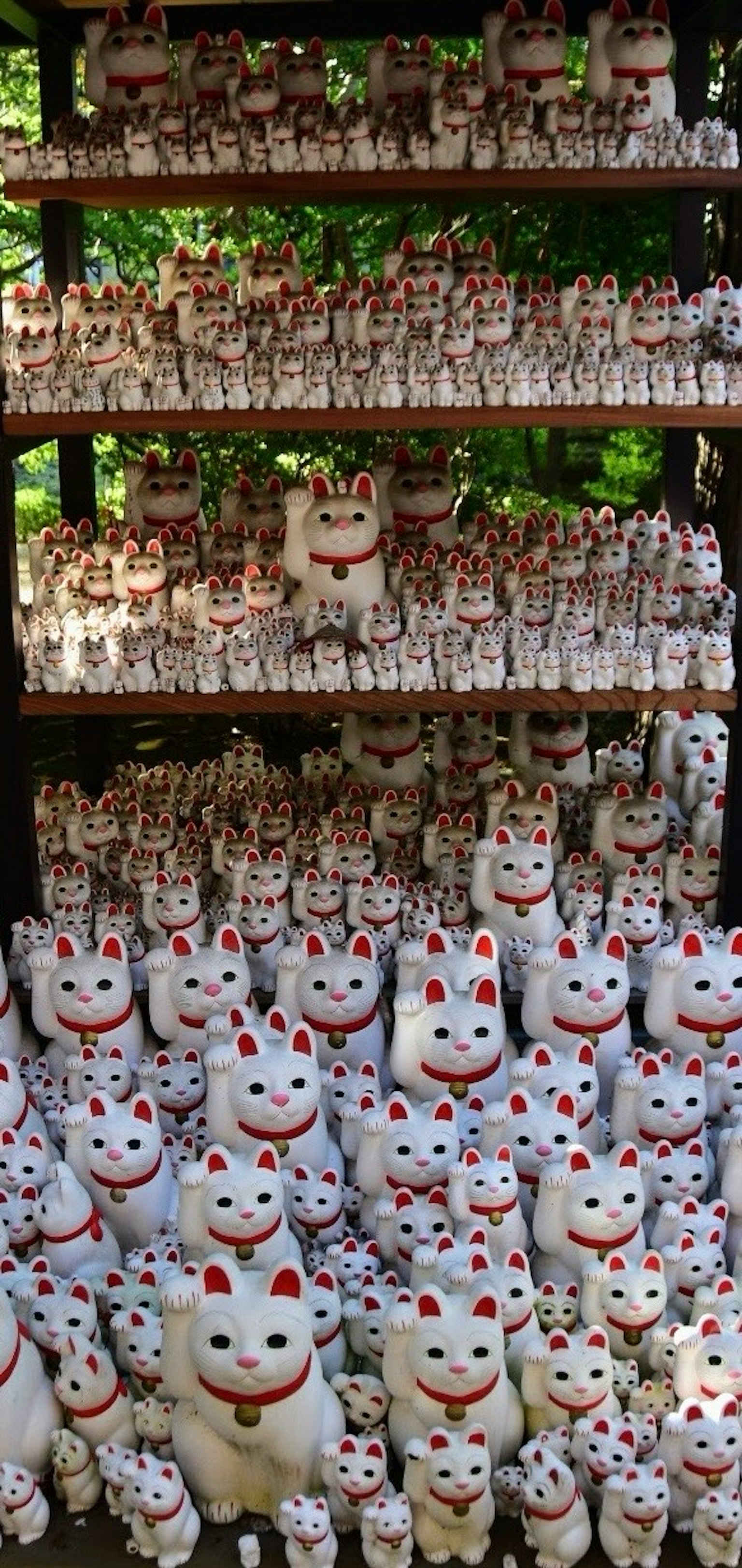 Une grande collection de figurines de chat porte-bonheur disposées sur des étagères