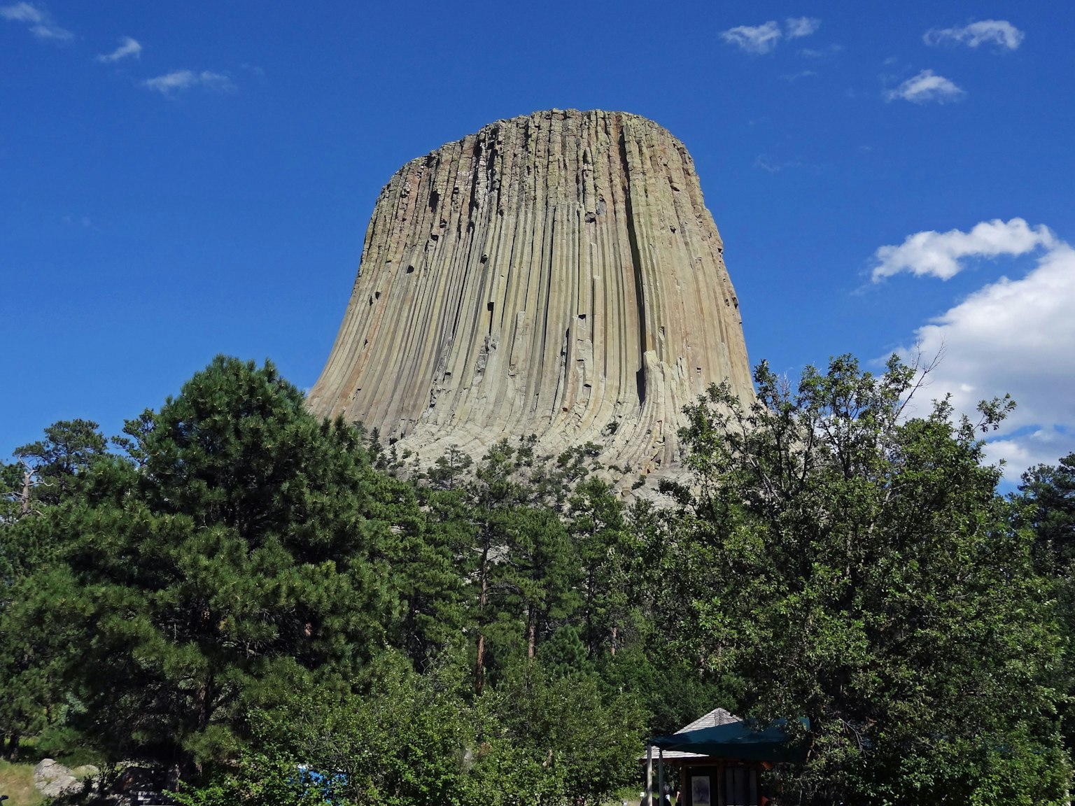 Pemandangan megah Devil's Tower dikelilingi pepohonan