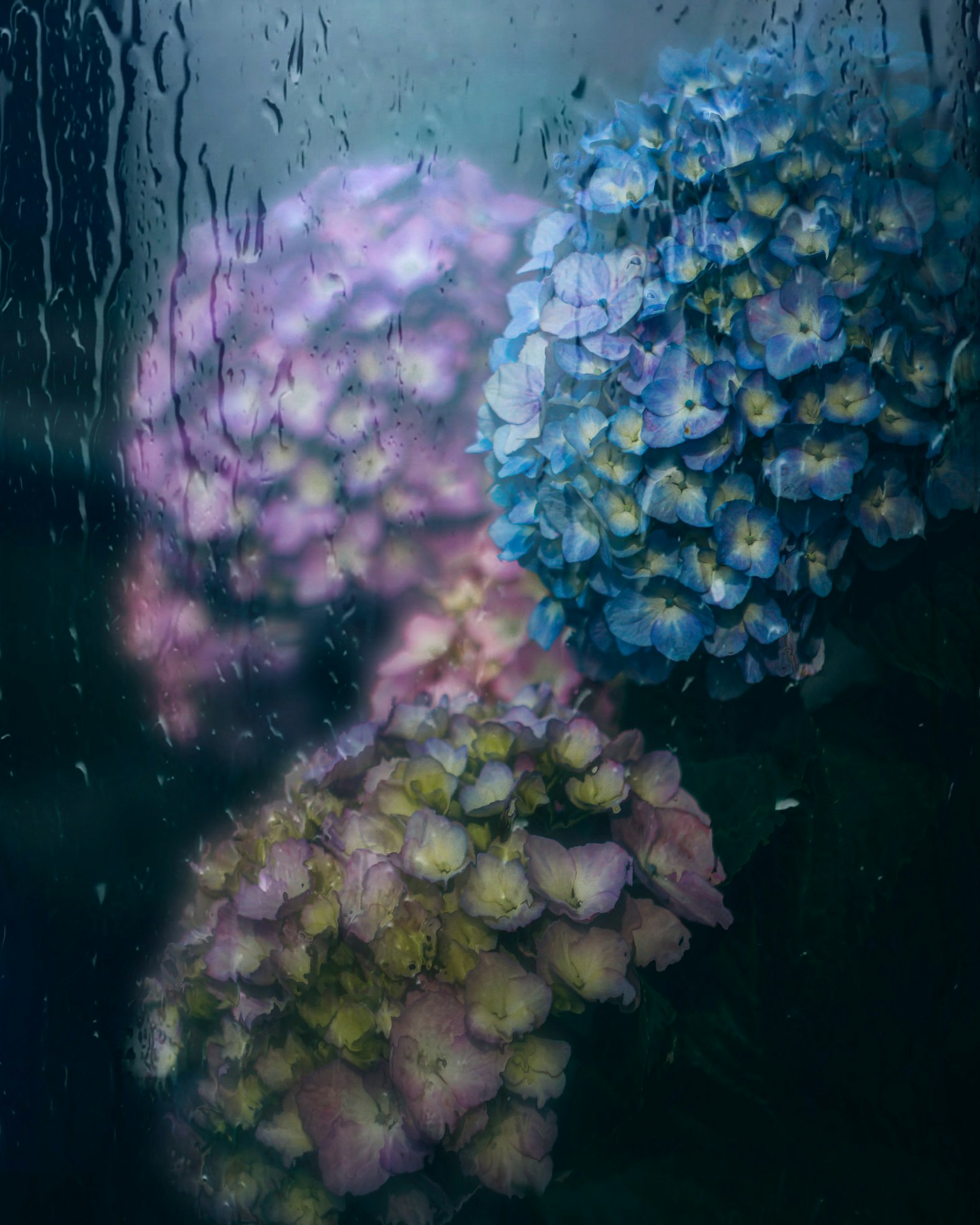 Bouquet di ortensie visto attraverso una finestra bagnata dalla pioggia