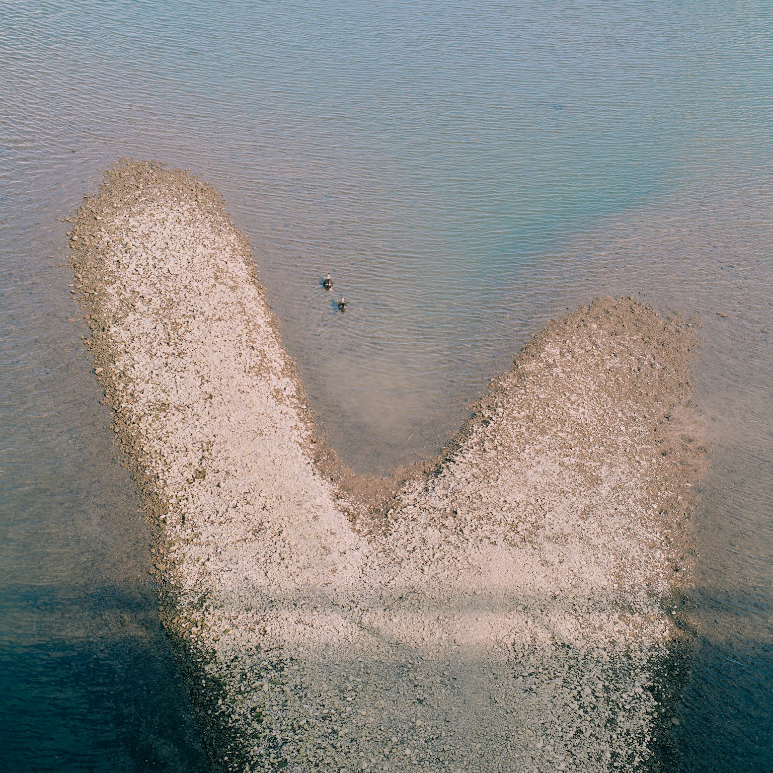 Unique sand pattern on water surface with small birds
