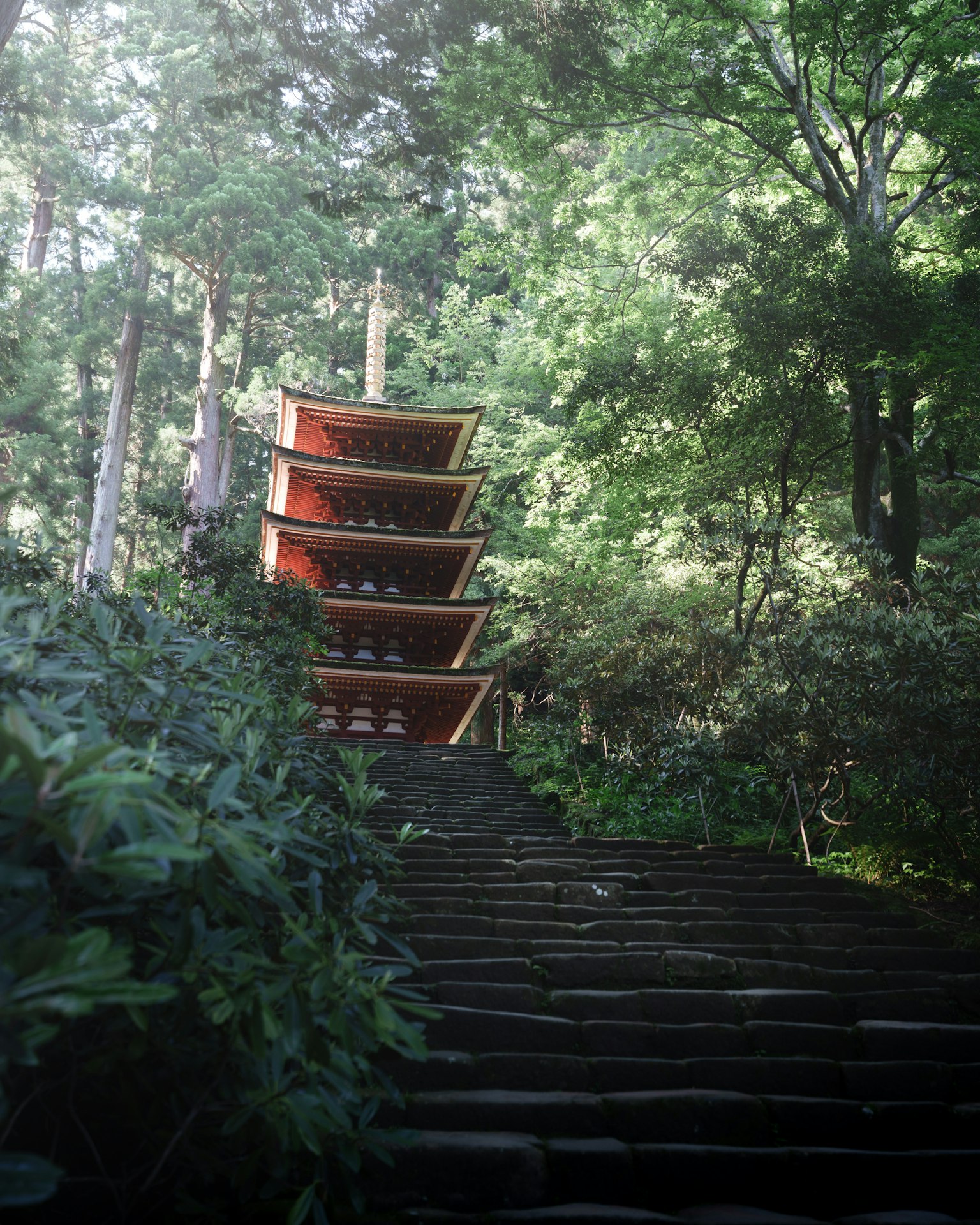 Pagoda a cinque piani circondata da verde con scalini in pietra