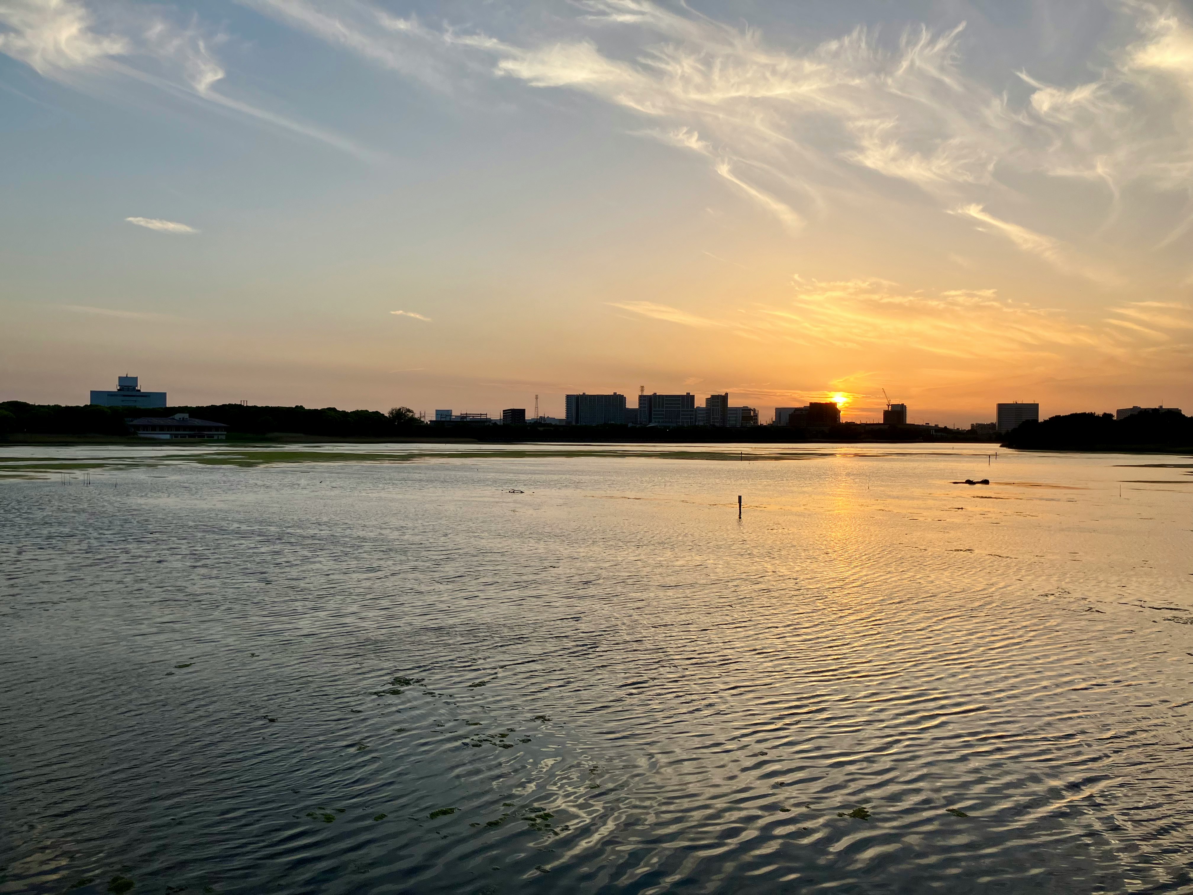 夕日に照らされた広い川面の風景
