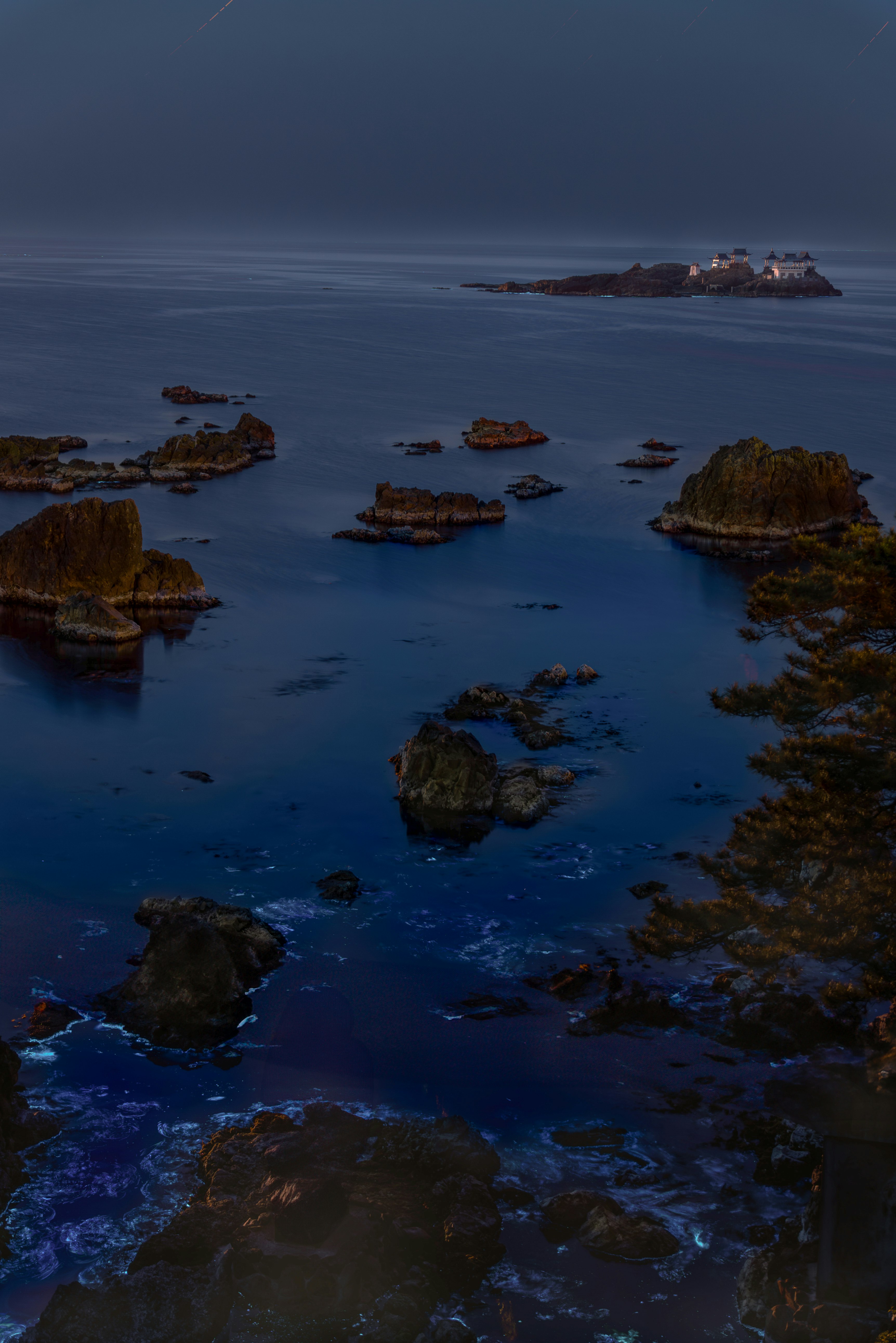 夜光虫が見える日和山海岸の岩礁と海の夜景