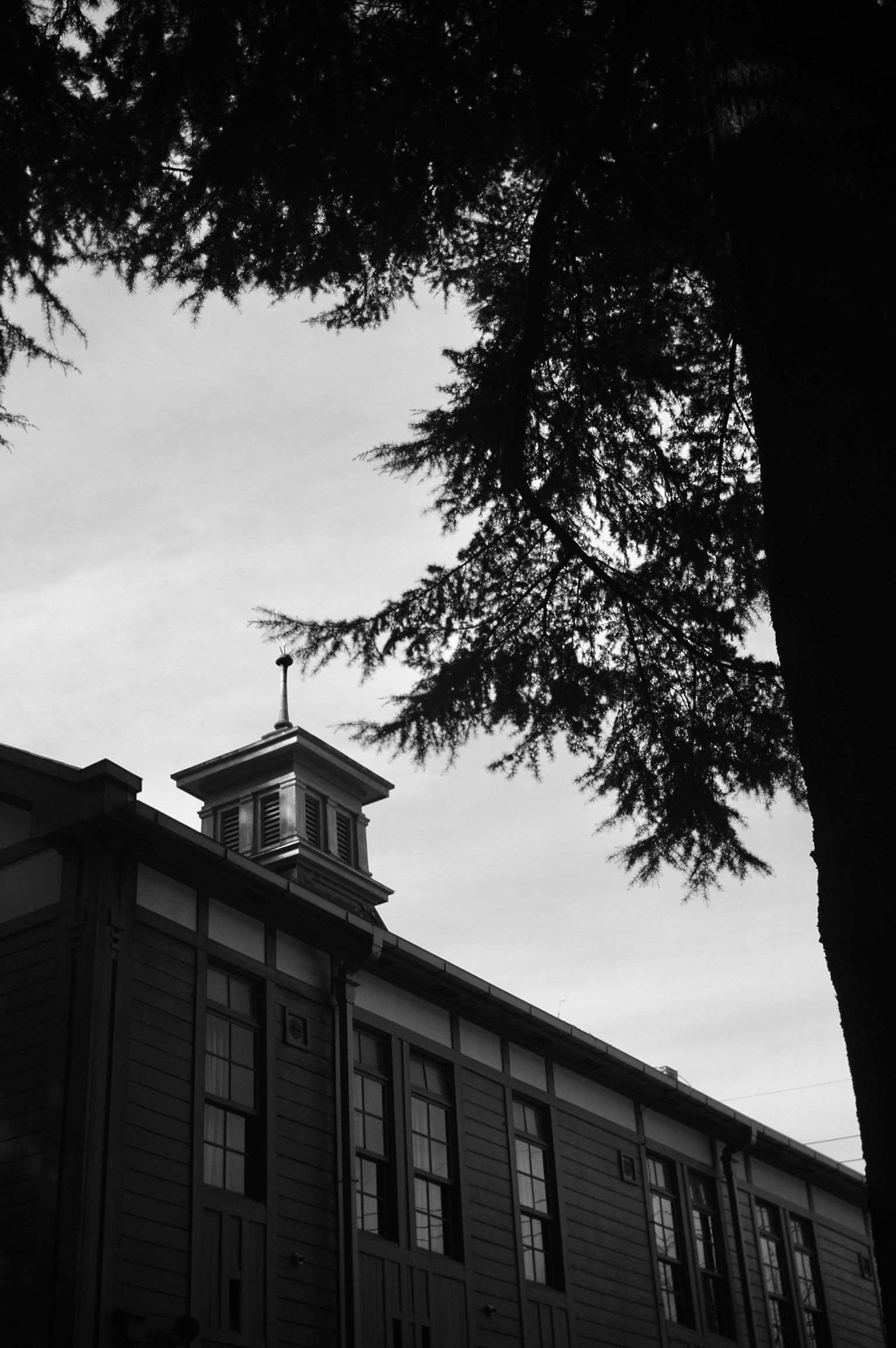 Black and white image of a building with a clock tower framed by tree branches