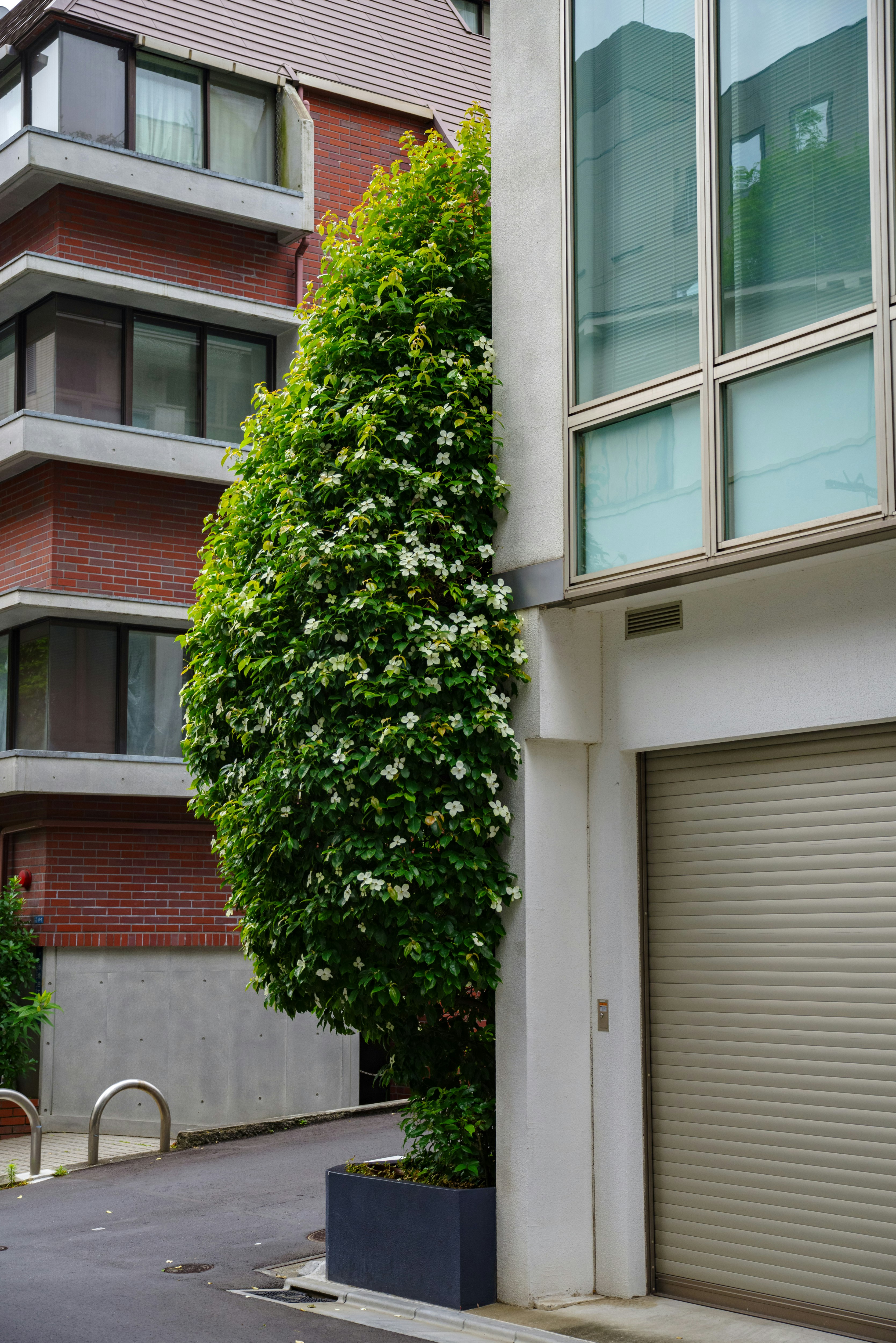 urban building exterior with vertical greenery