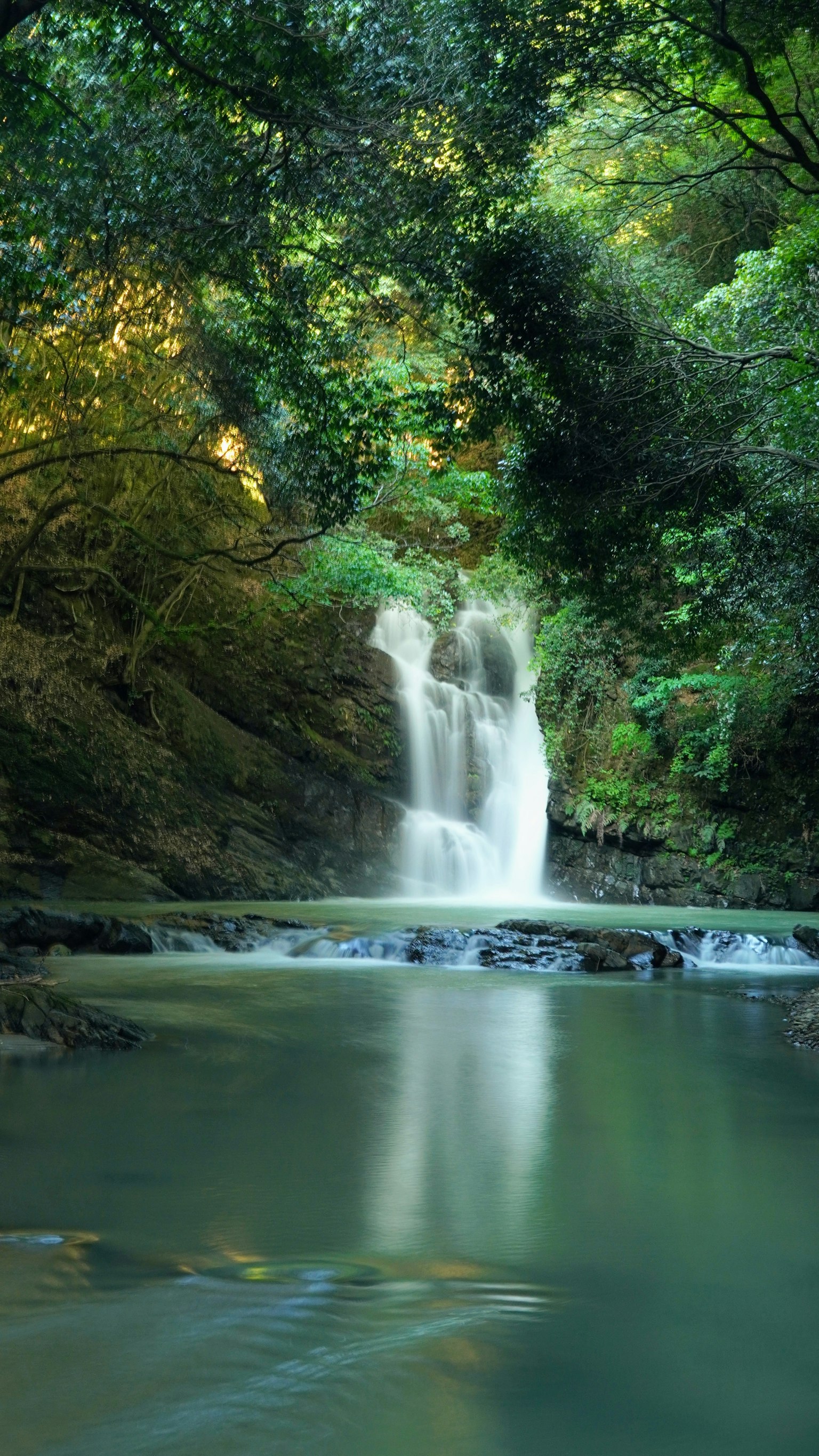Una cascada serena rodeada de vegetación exuberante
