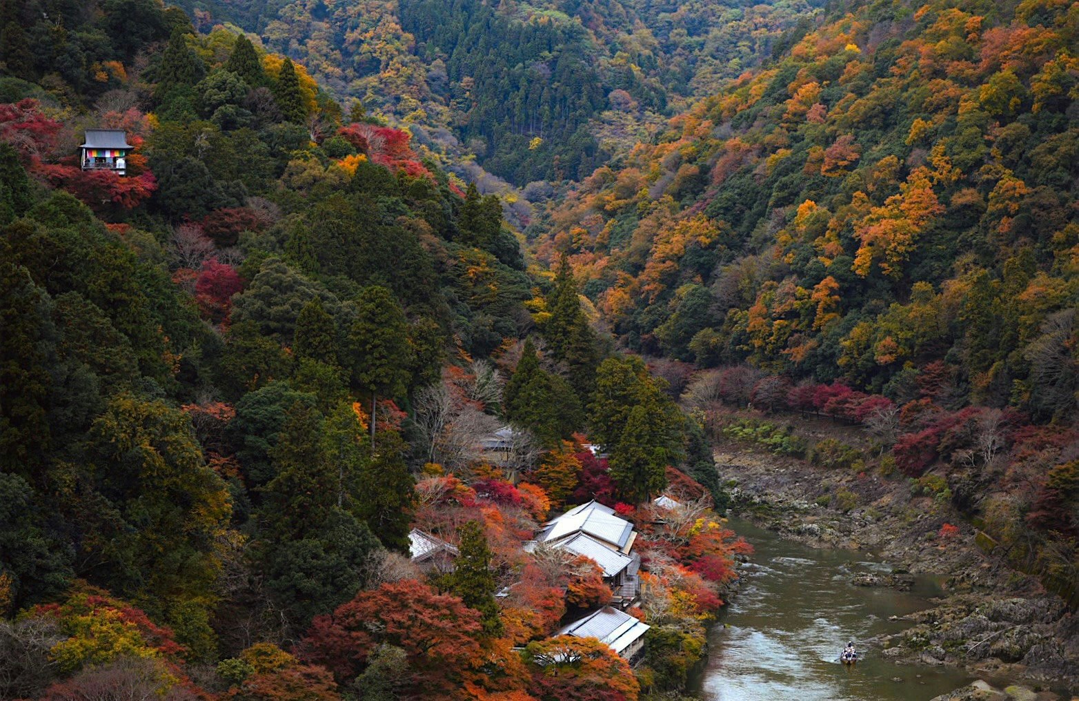 Autumn Arashiyama valley with vibrant fall foliage and small temple roofs