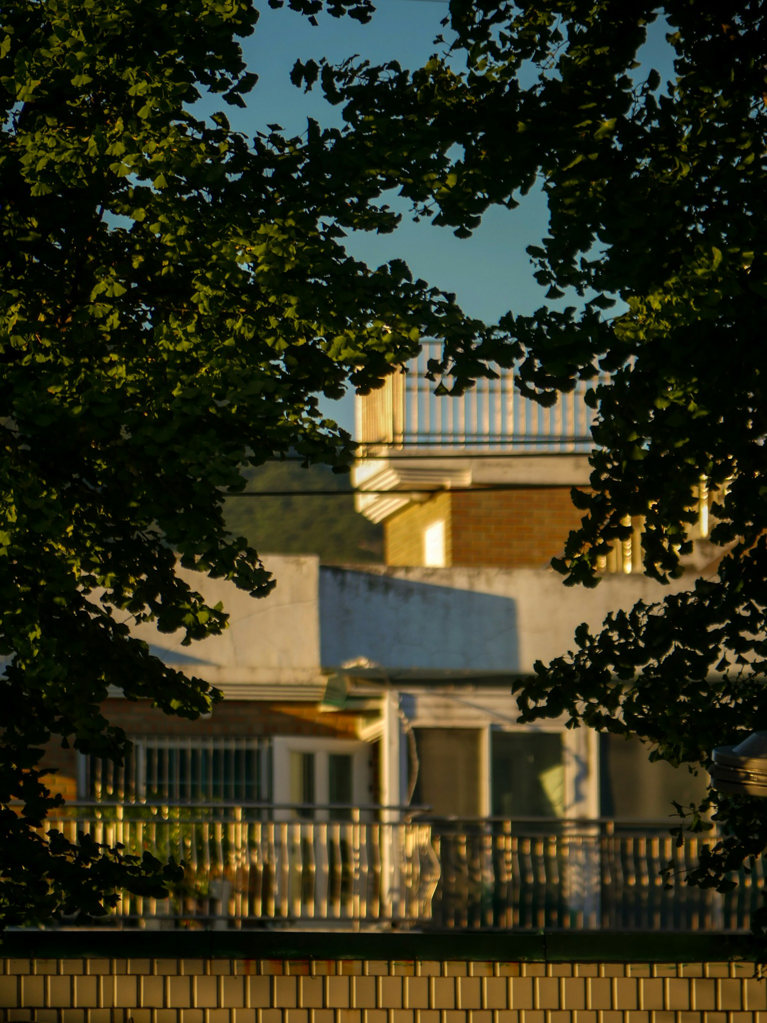 photo-7VtxknyCnKkxKhWoM5rO-image