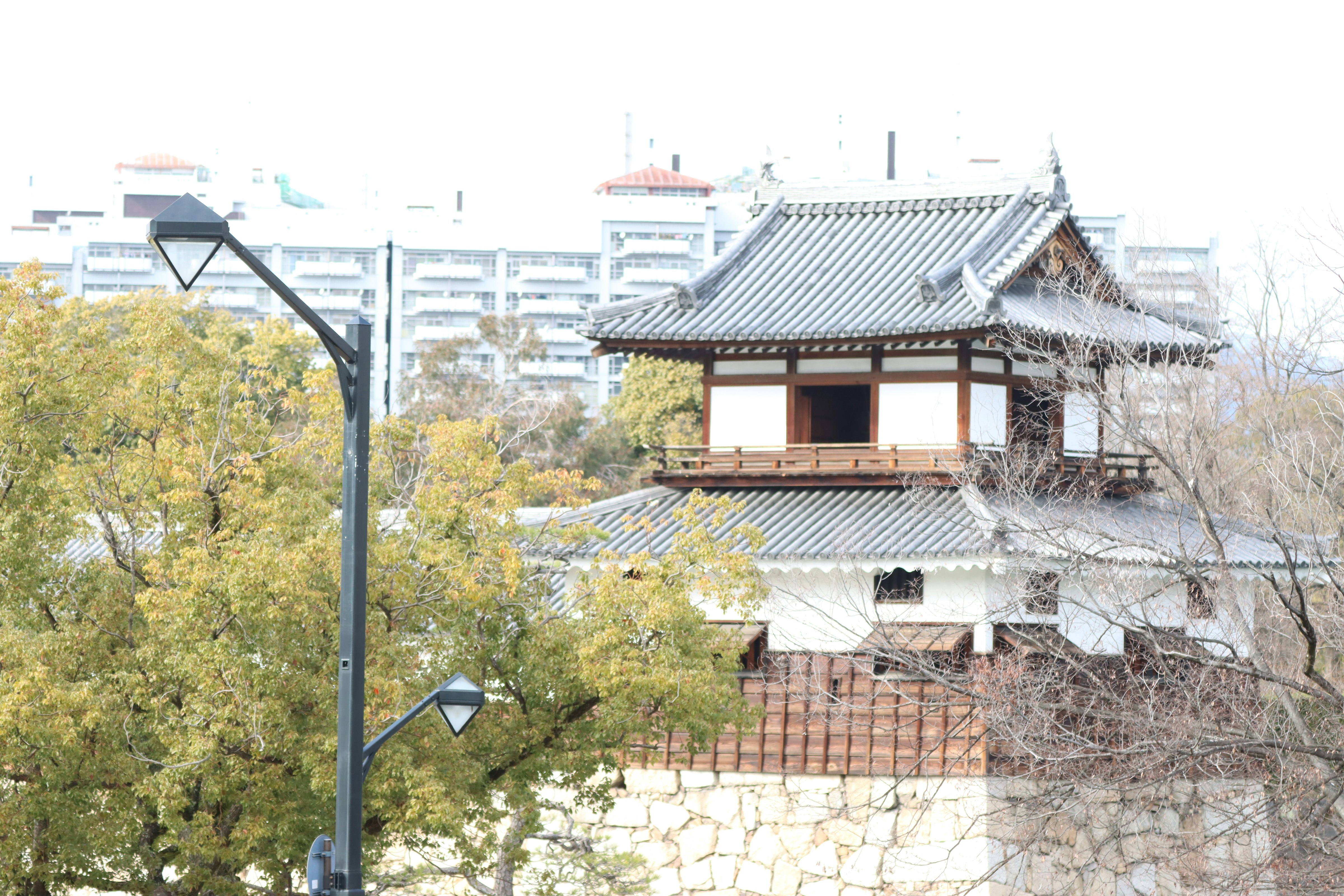 瓦顶寺庙建筑与城市天际线景观