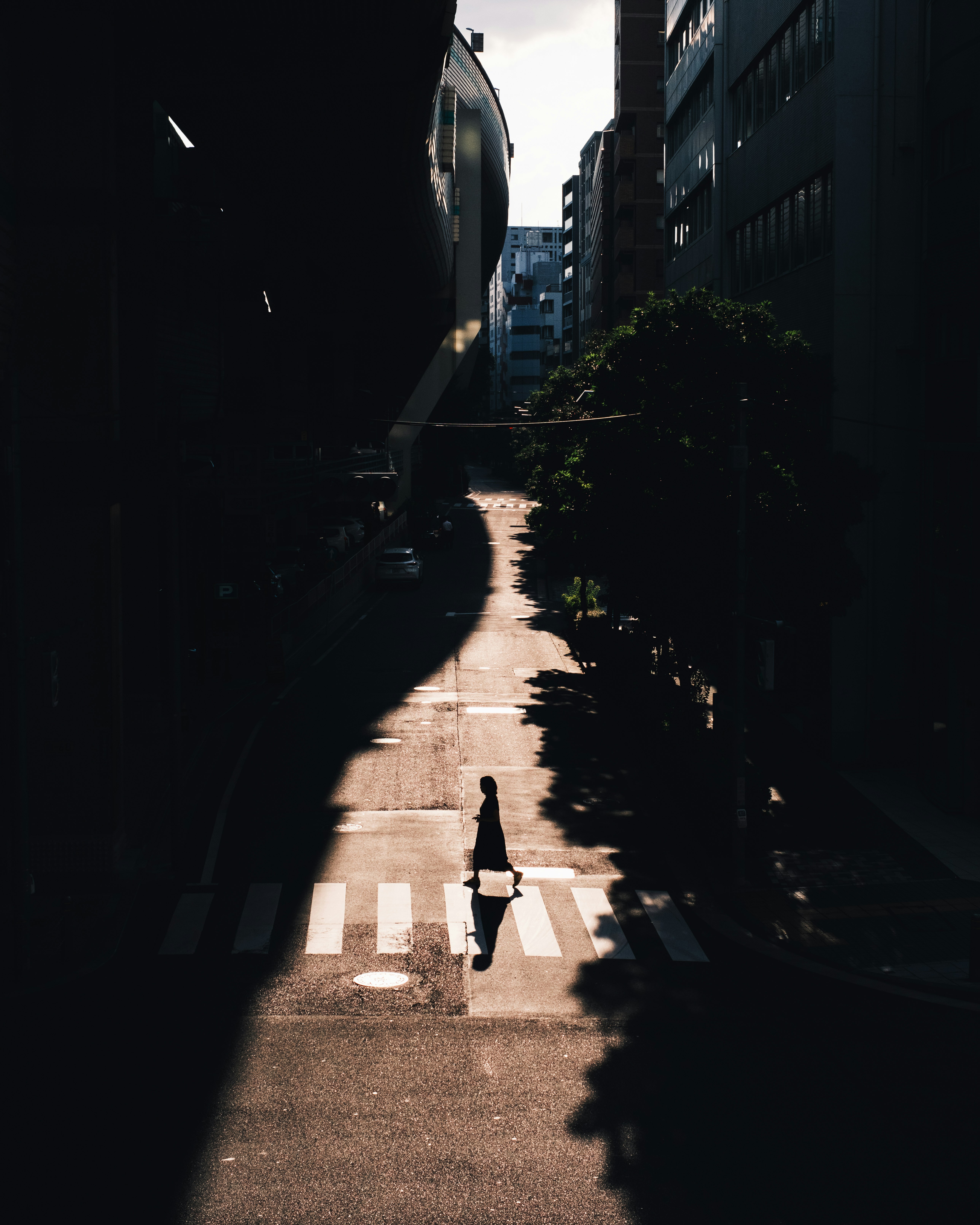 street scene with a crosswalk in deep shadow and bright sunlight