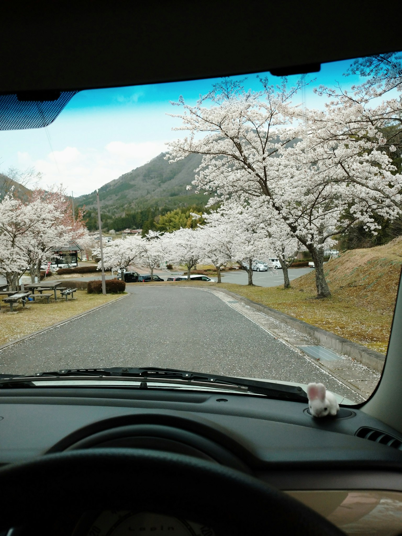 Malersiche Aussicht auf Kirschbäume entlang der Straße mit Bergen im Hintergrund