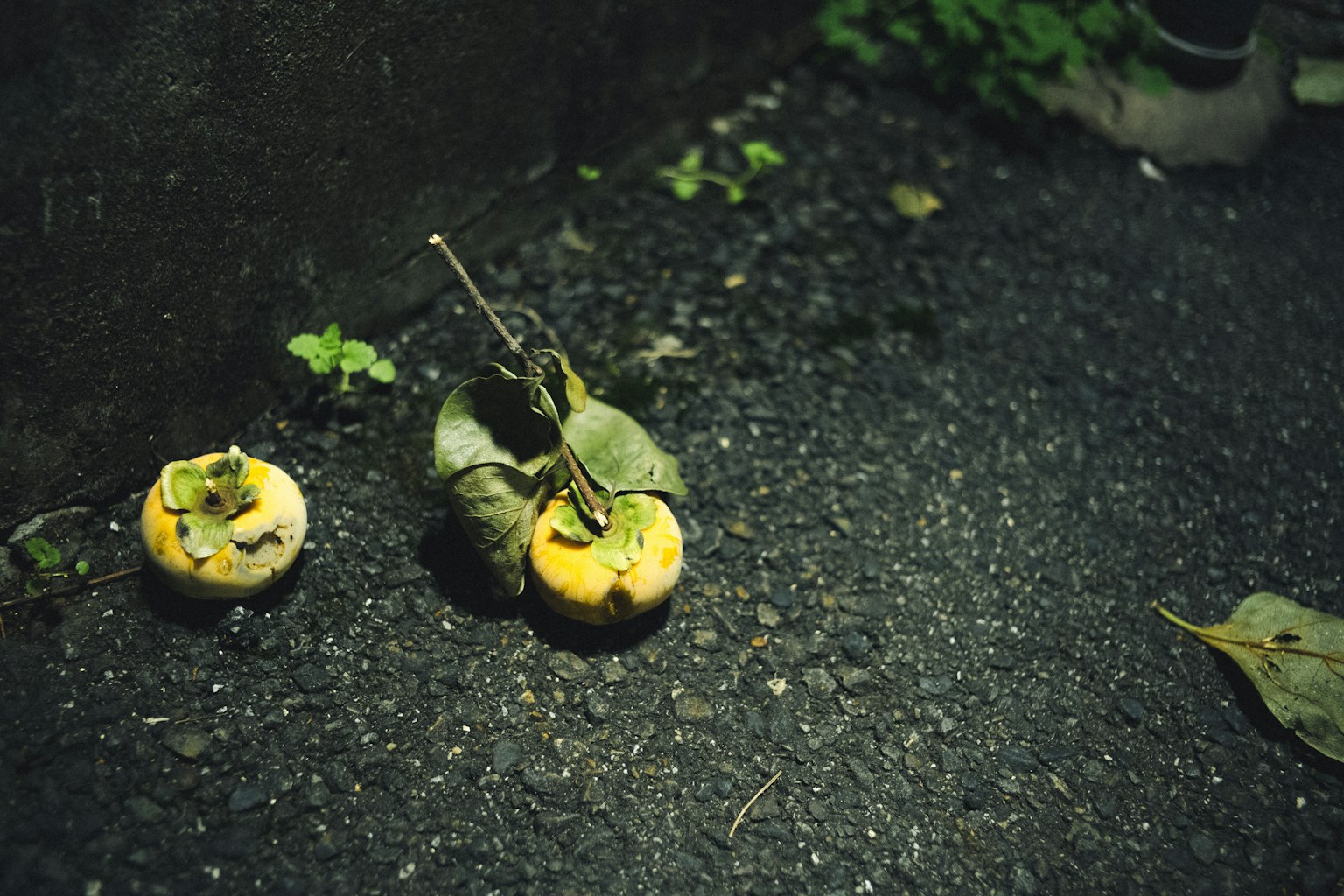 地面に落ちた二つの黄色い果物と葉っぱがある風景