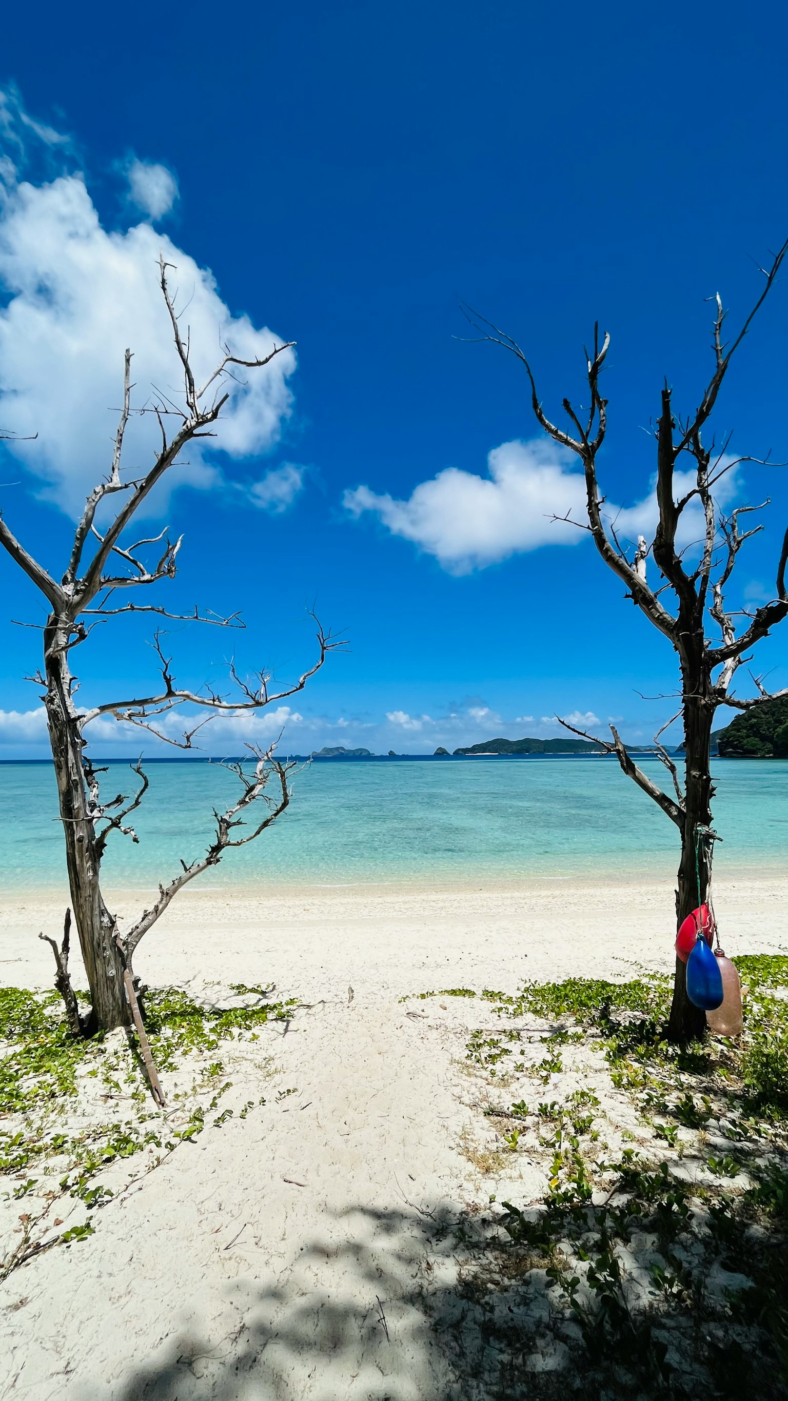 Vista escénica de una playa con cielo azul y arena blanca