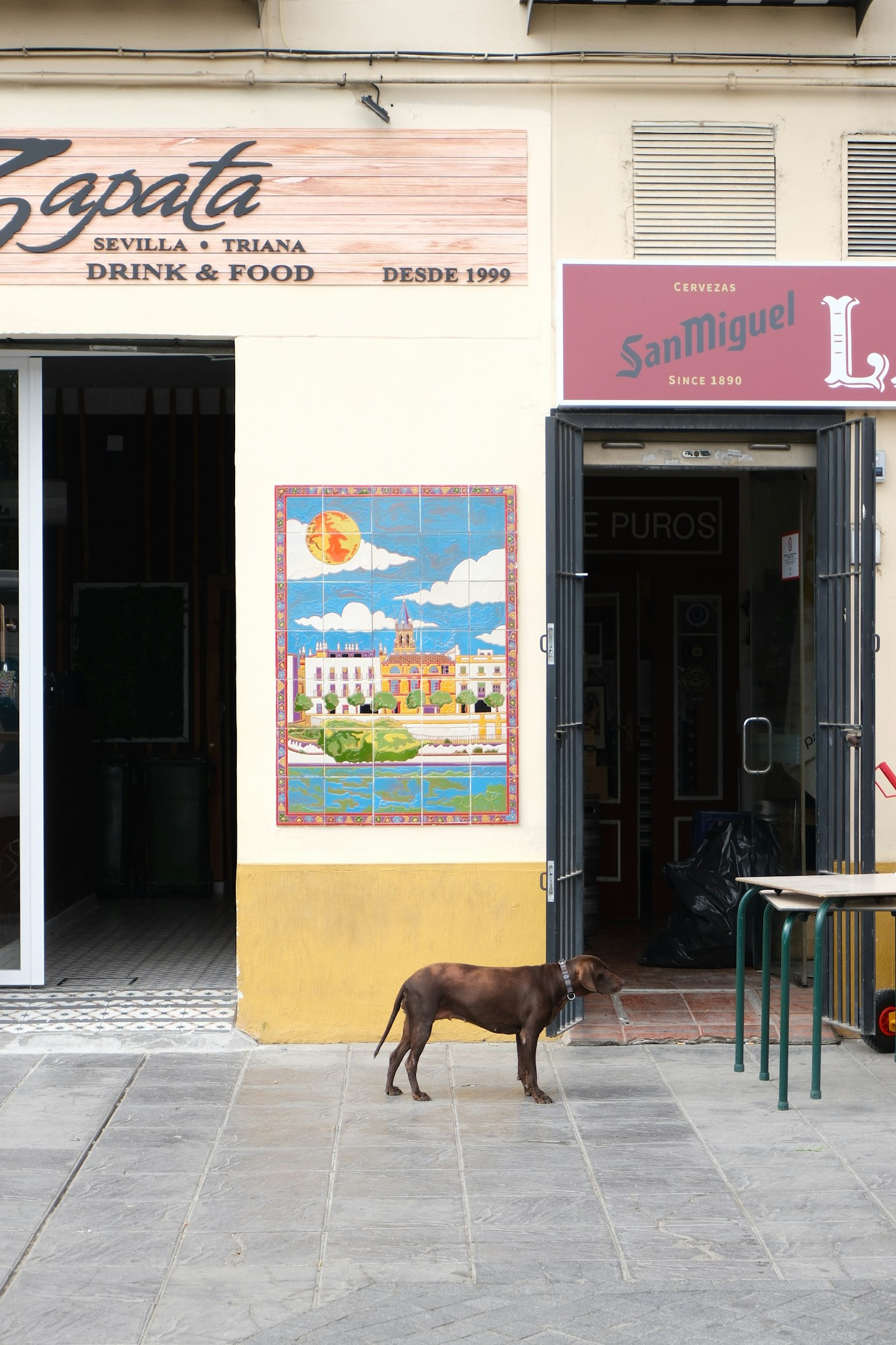 Una escena de calle con un perro frente a un café y un mural colorido