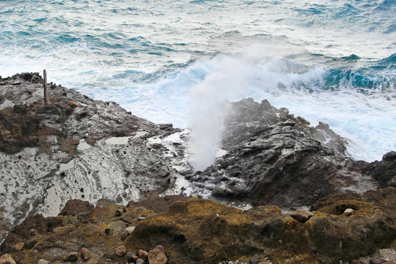 Scène côtière avec des vagues s'écrasant sur des rochers et de l'eau jaillissant