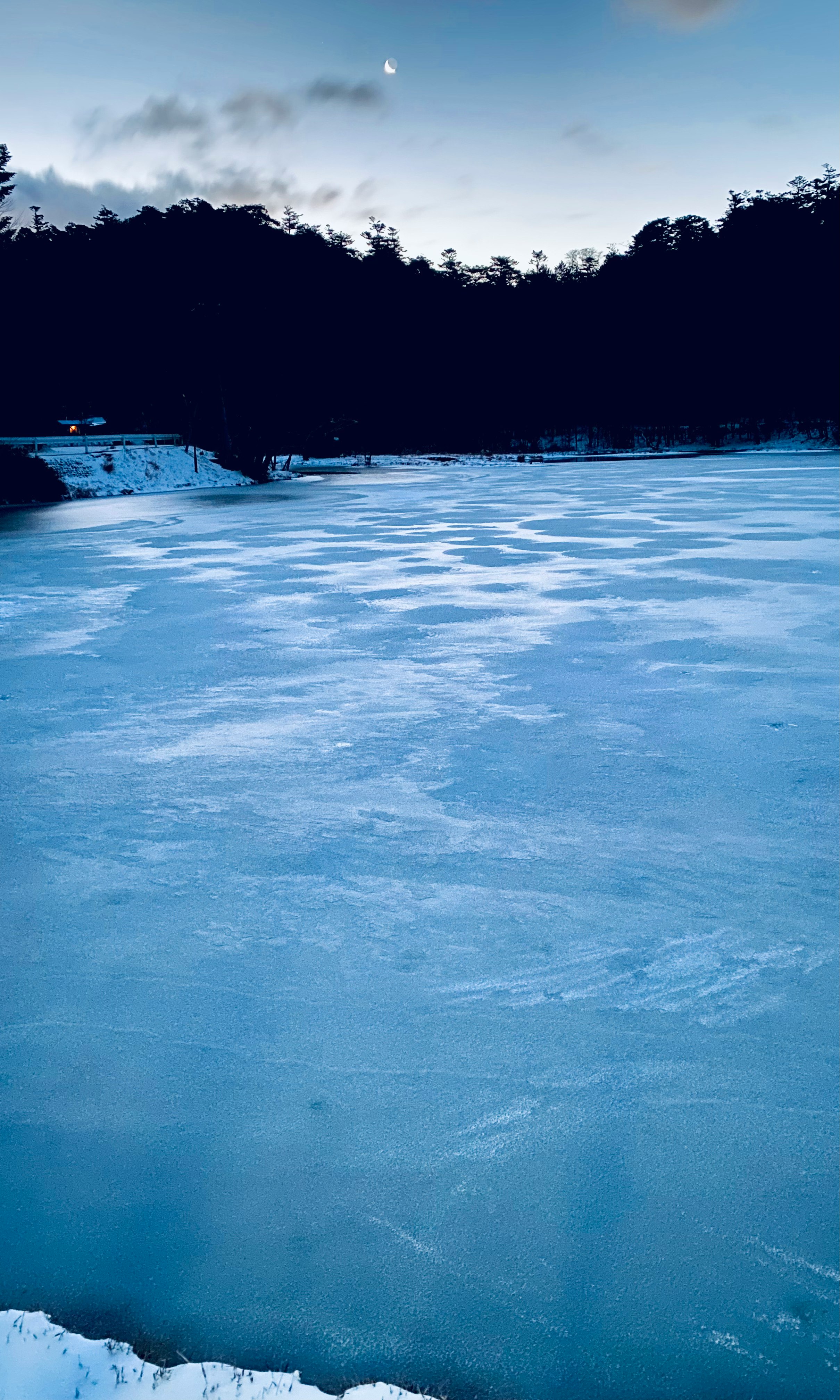 Un paysage d’hiver paisible sur un champ enneigé