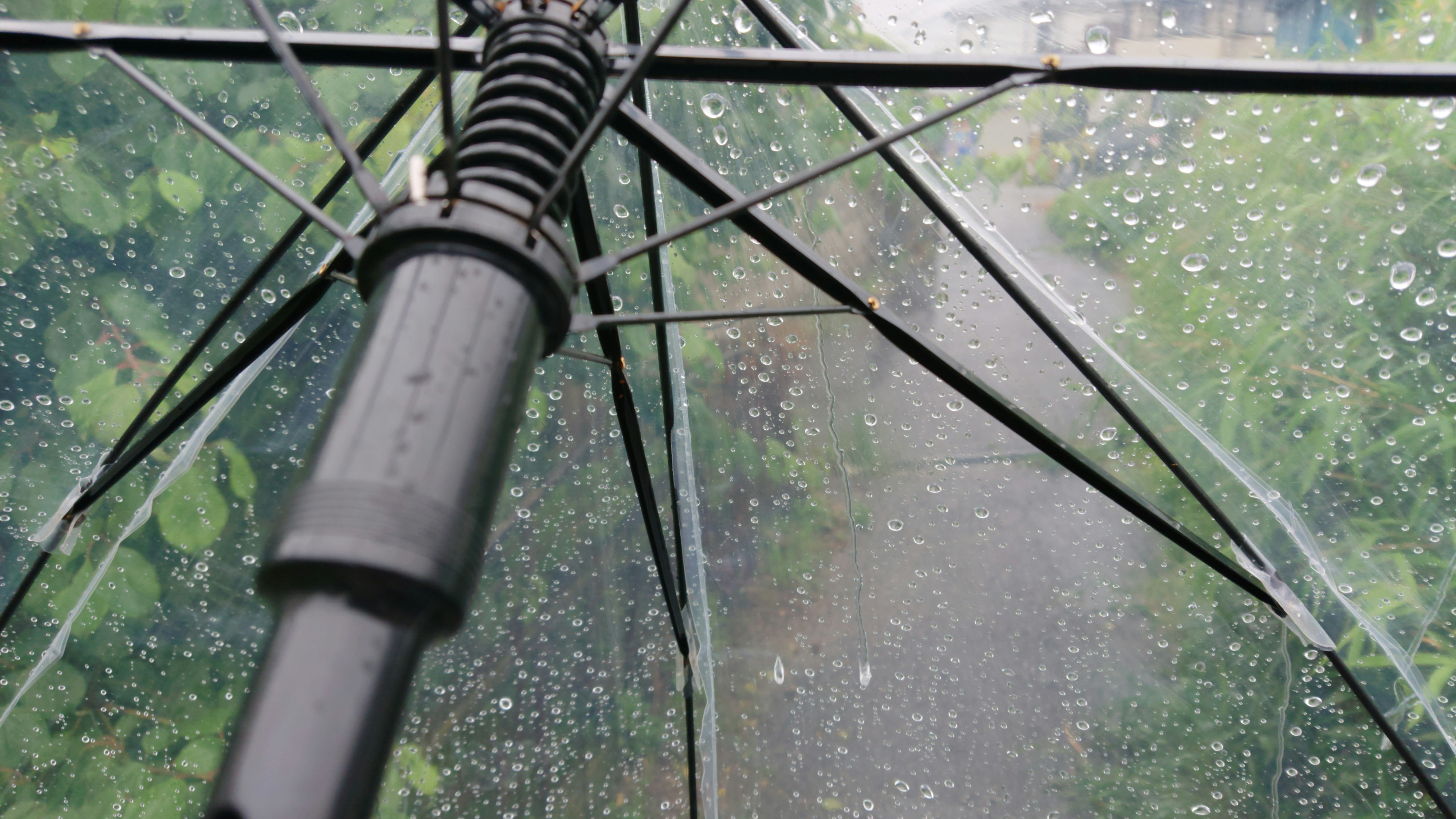 雨粒の付いた傘の骨組み