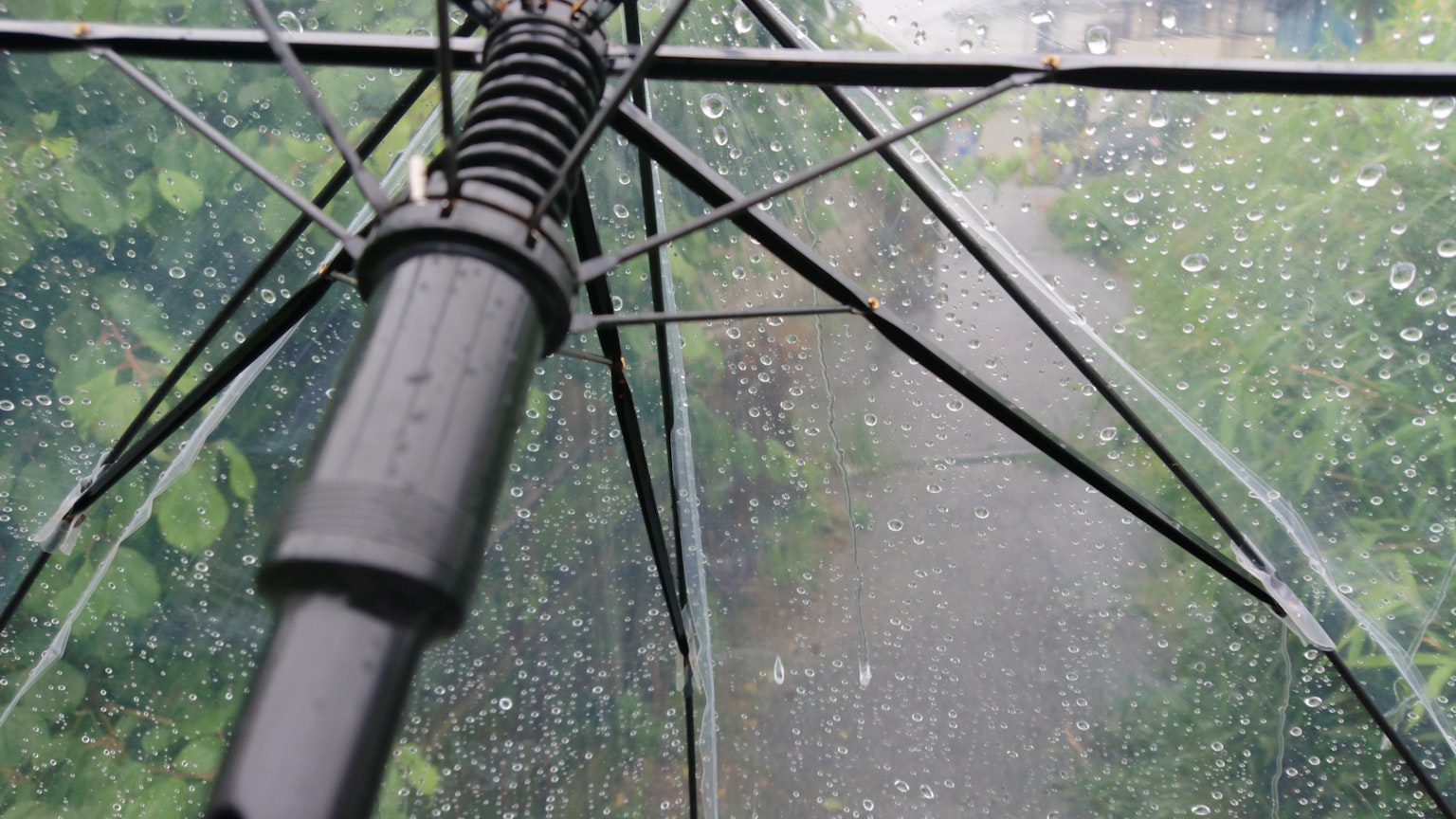 透過透明雨傘看到的雨和模糊的綠色背景