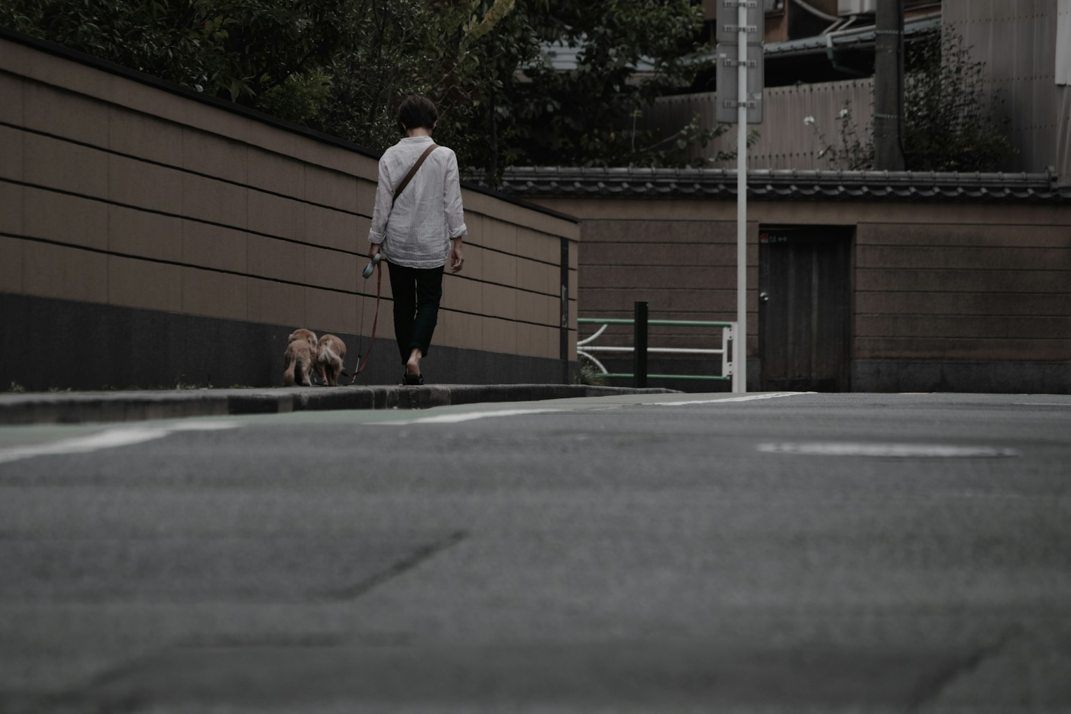 Una persona paseando a un perro en una escena de calle tranquila