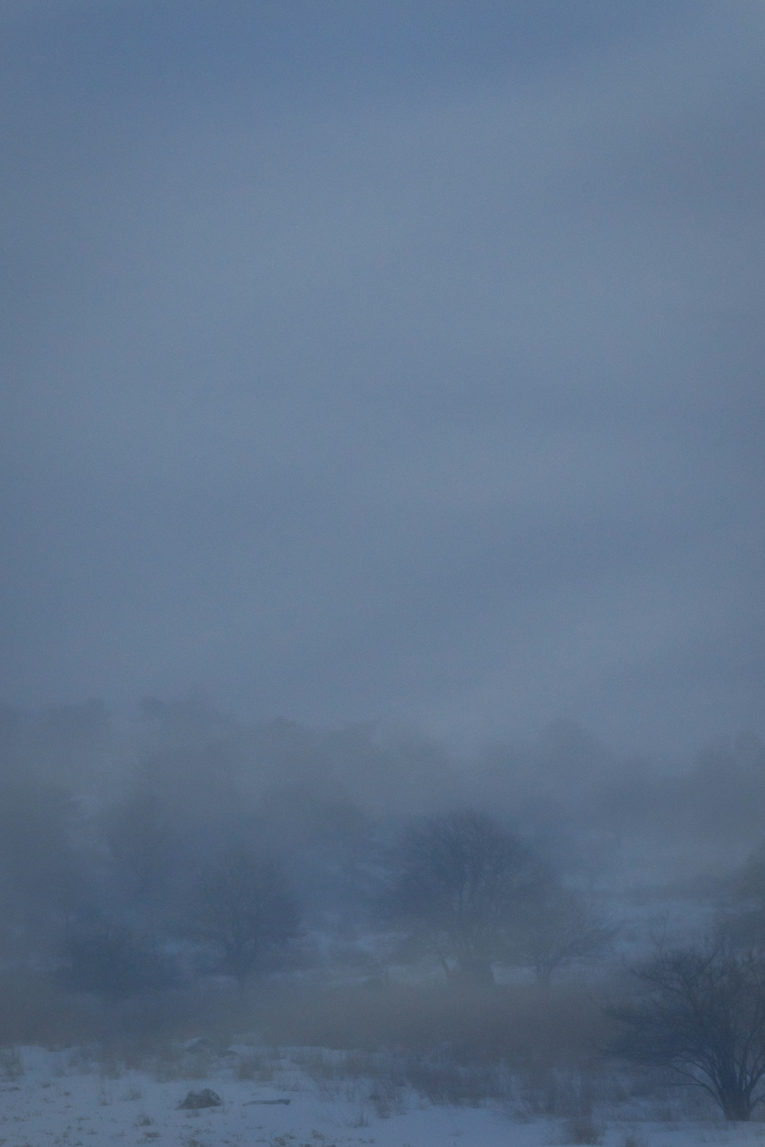 Nebeliger Winterlandschaft mit blauem Himmel und schneebedecktem Boden