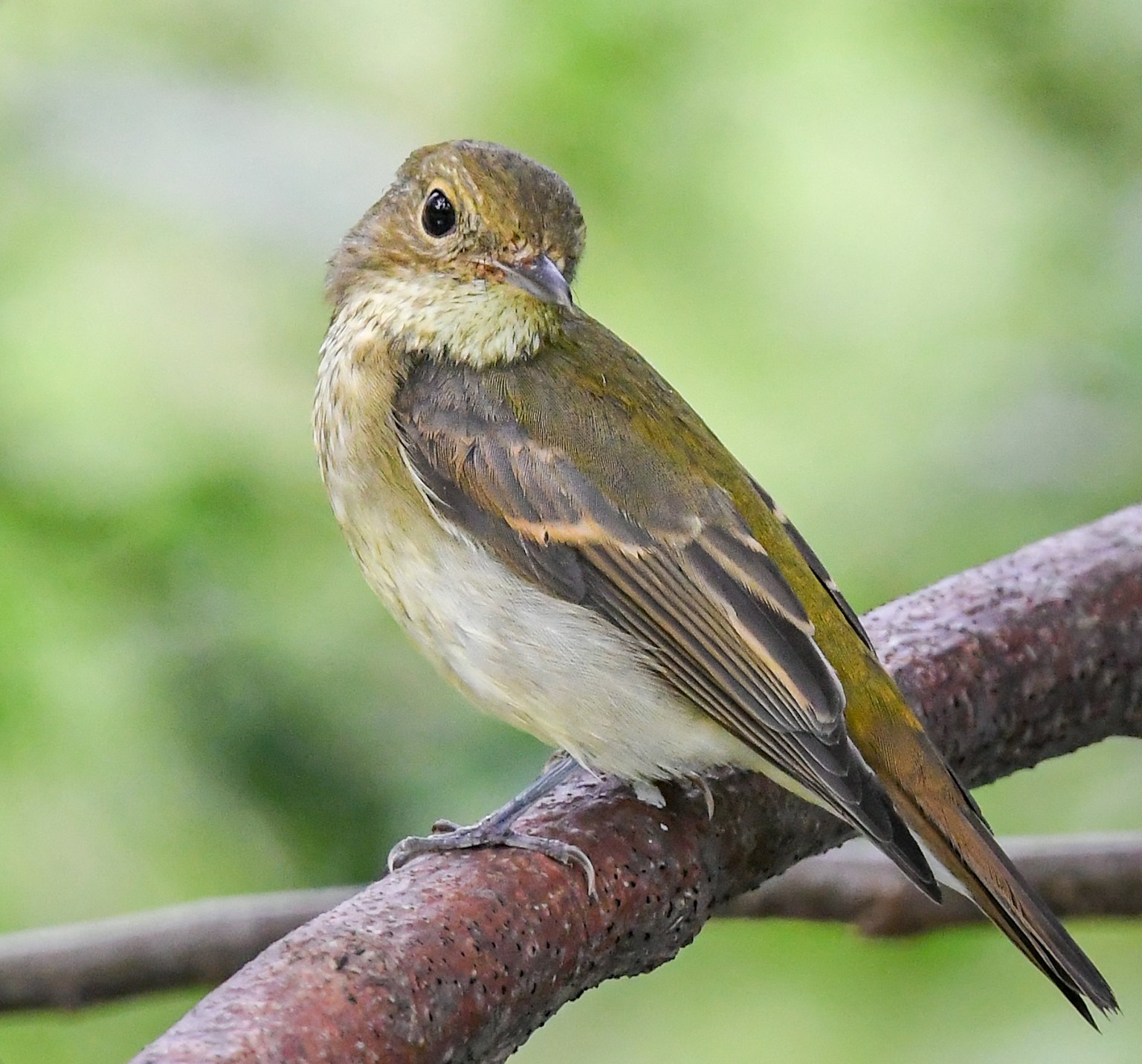 photo-7agSy1DZPBmTwgKIH69V-image